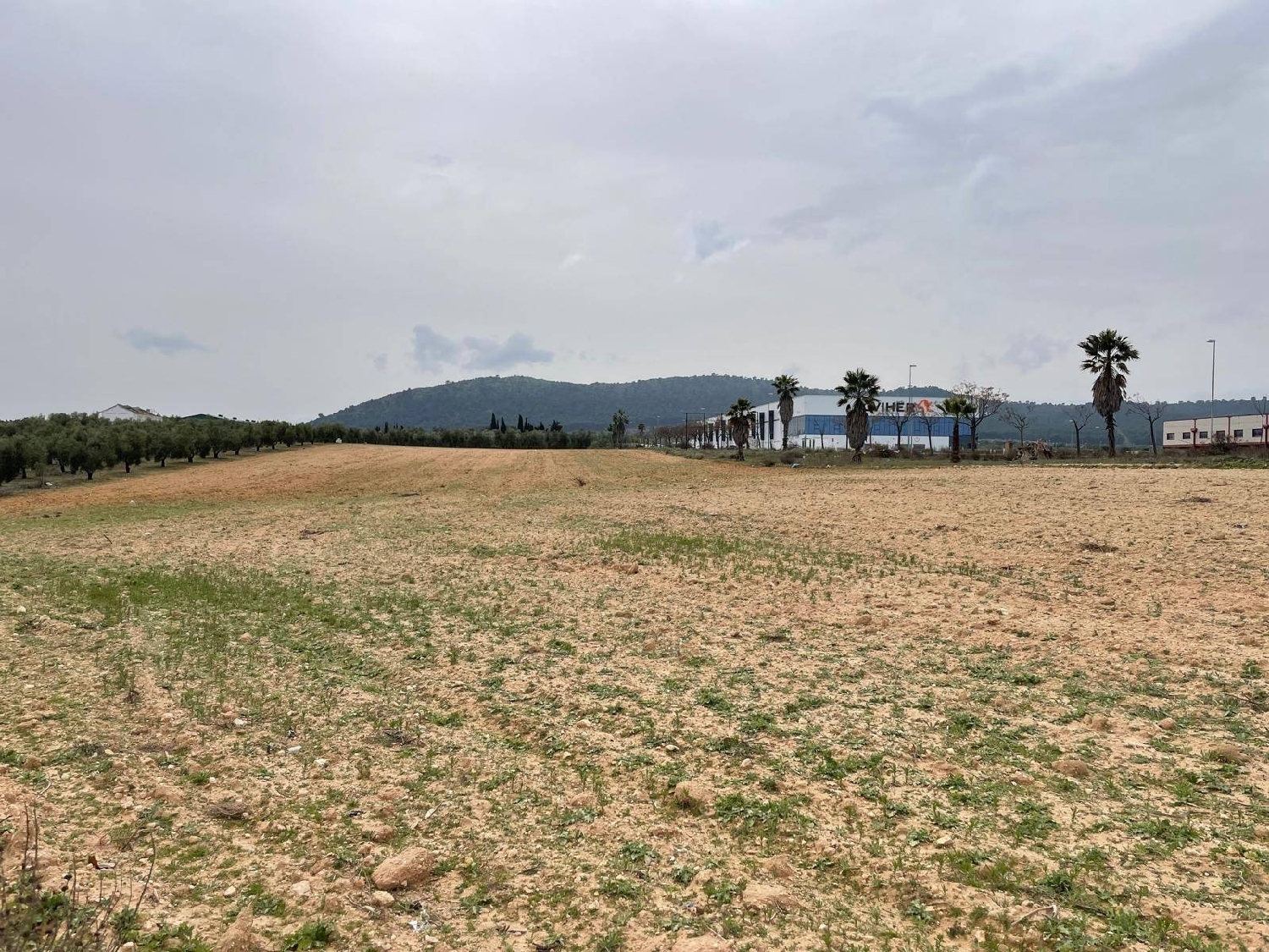  kaufen Grundstück Mollina Antequera 2