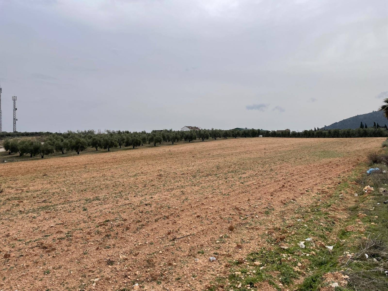  kaufen Grundstück Mollina Antequera 5