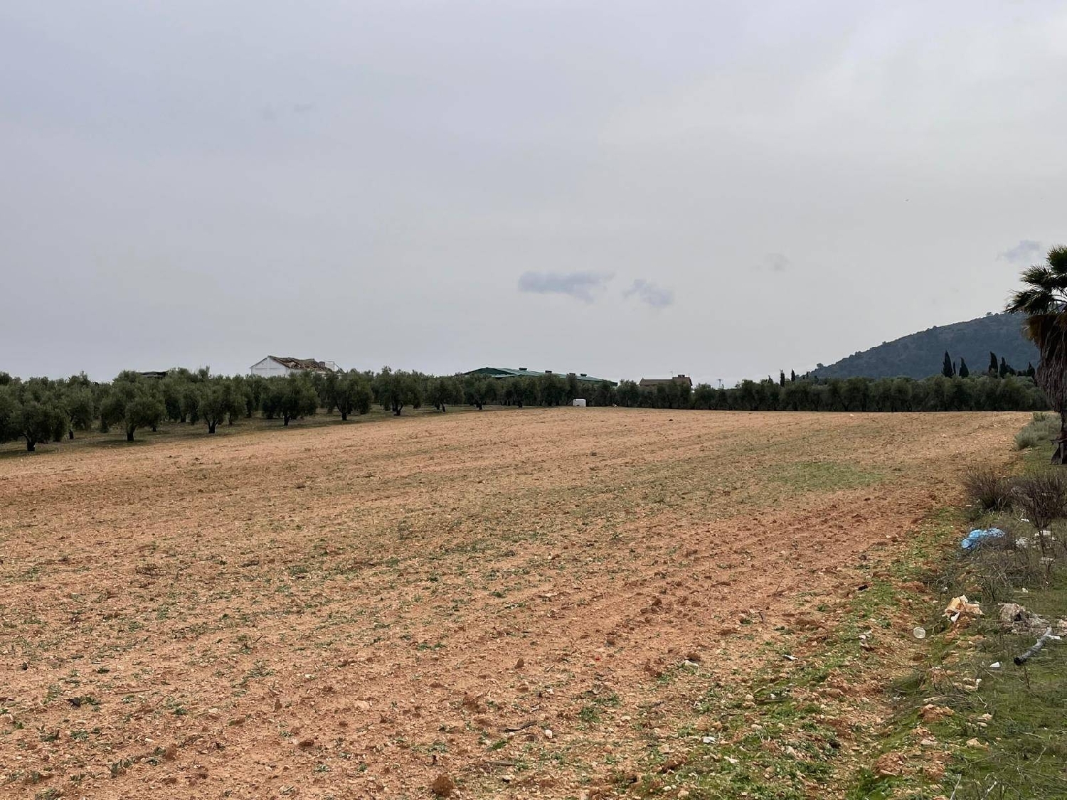  kaufen Grundstück Mollina Antequera 7