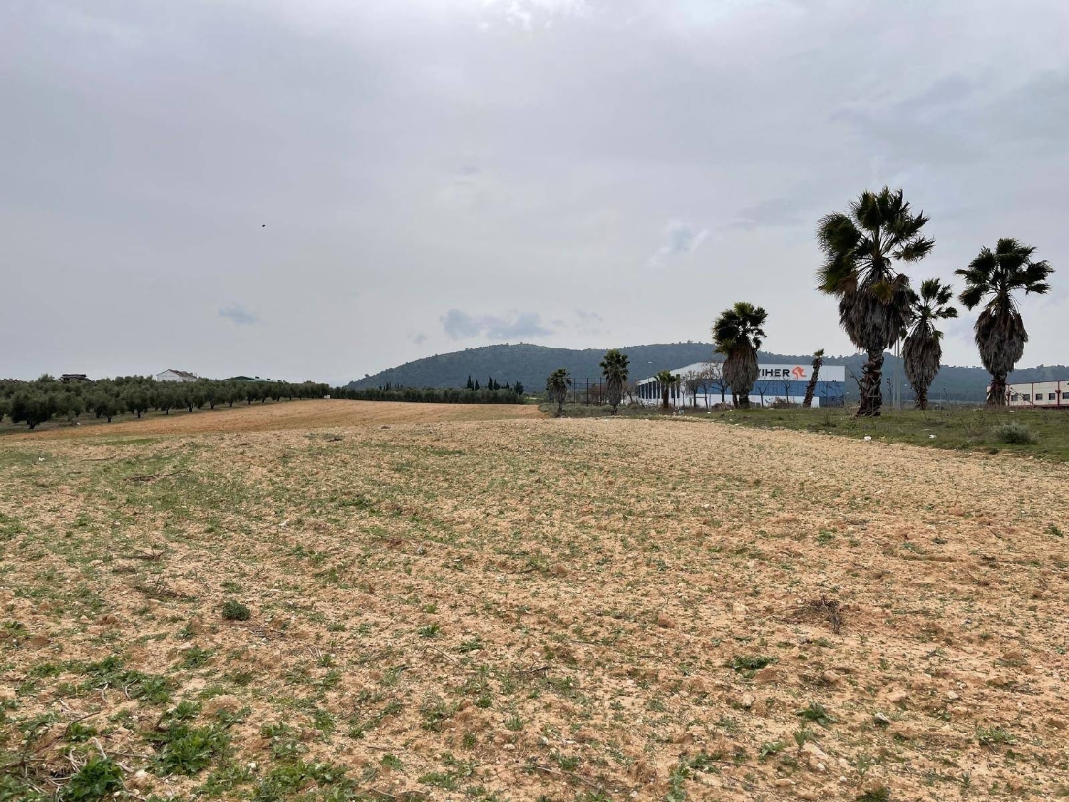  kaufen Grundstück Mollina Antequera 6