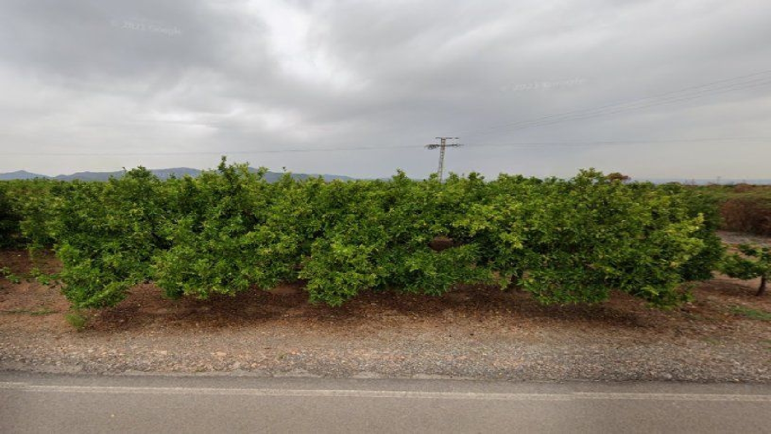  for sale plot Nules Plana Baixa 2