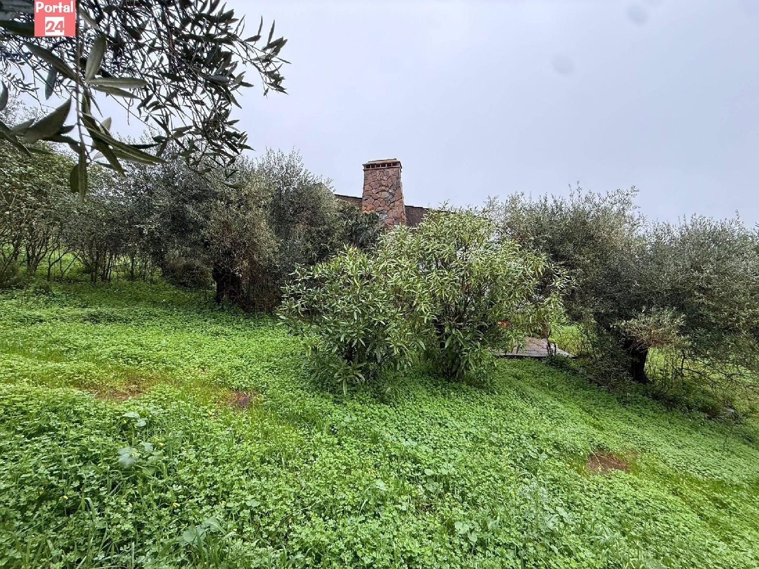  for sale plot Olivenza Olienza 5