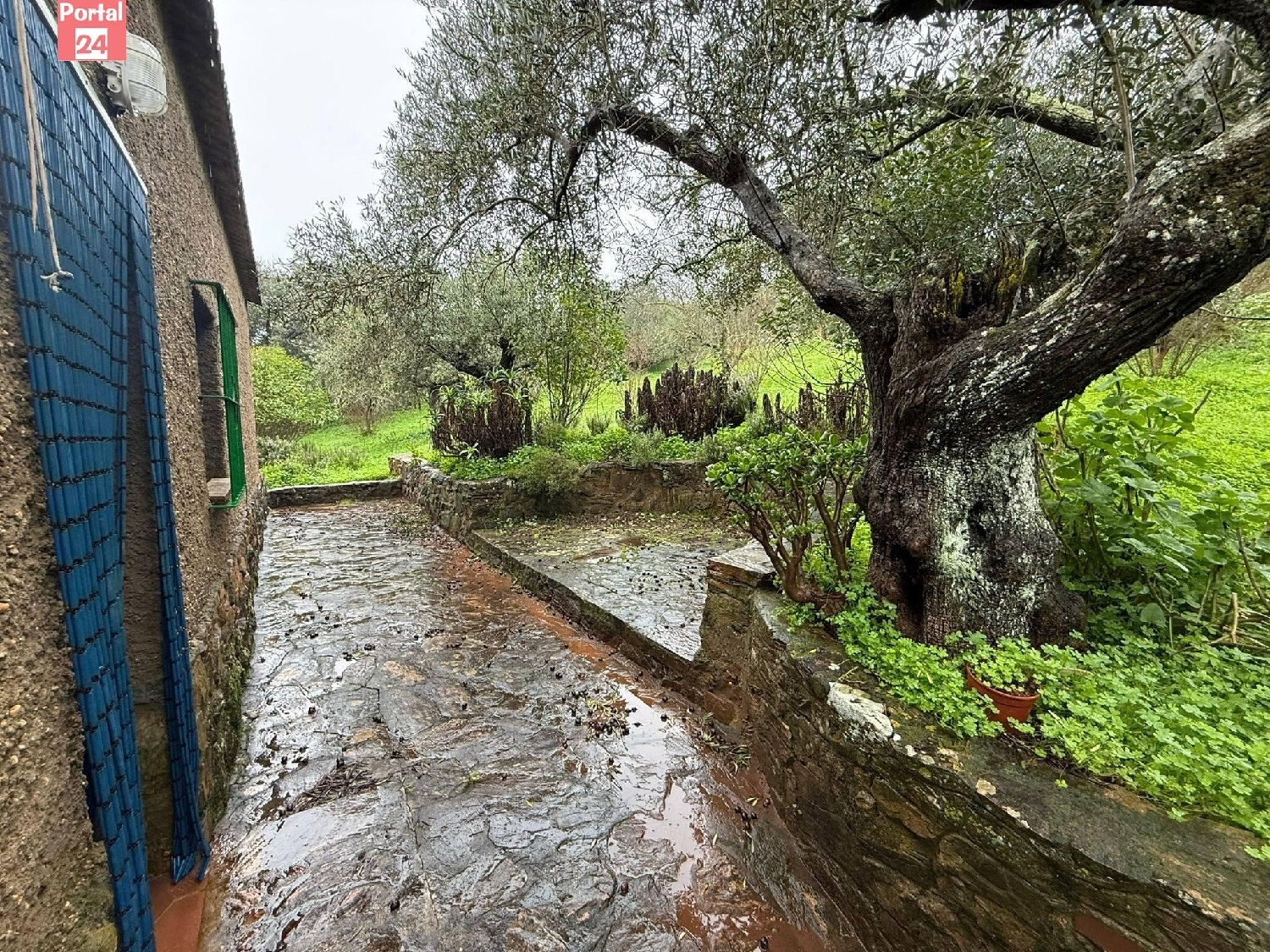  for sale plot Olivenza Olienza 7