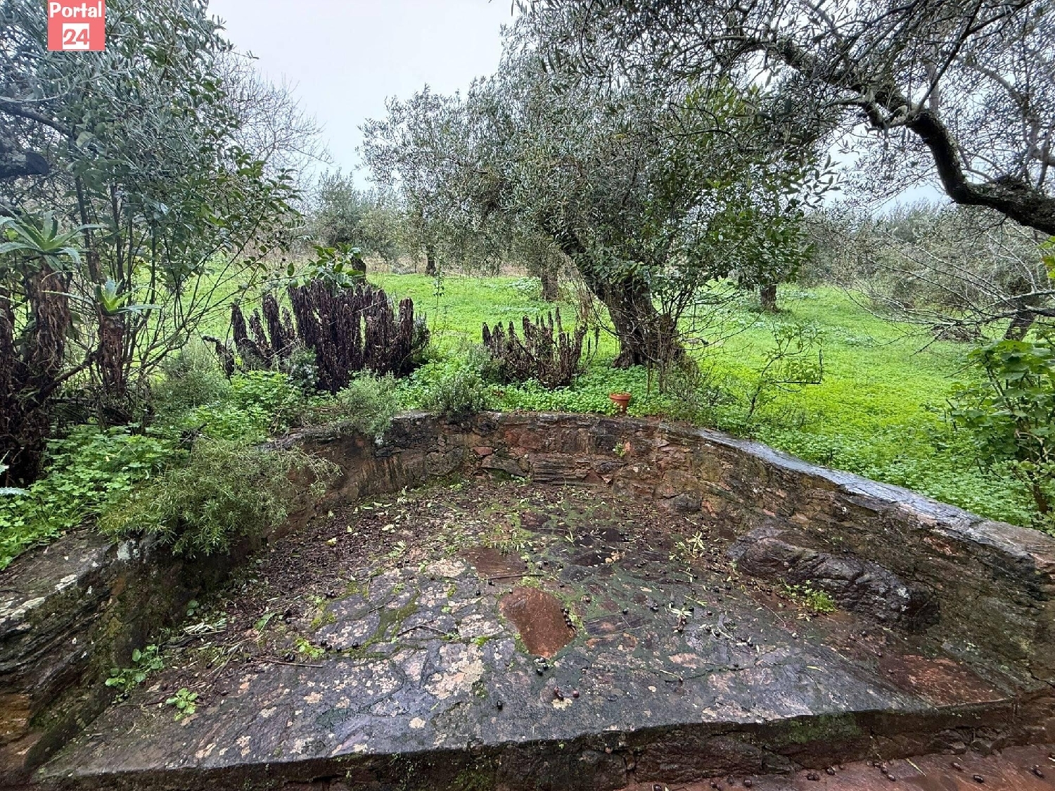  for sale plot Olivenza Olienza 8