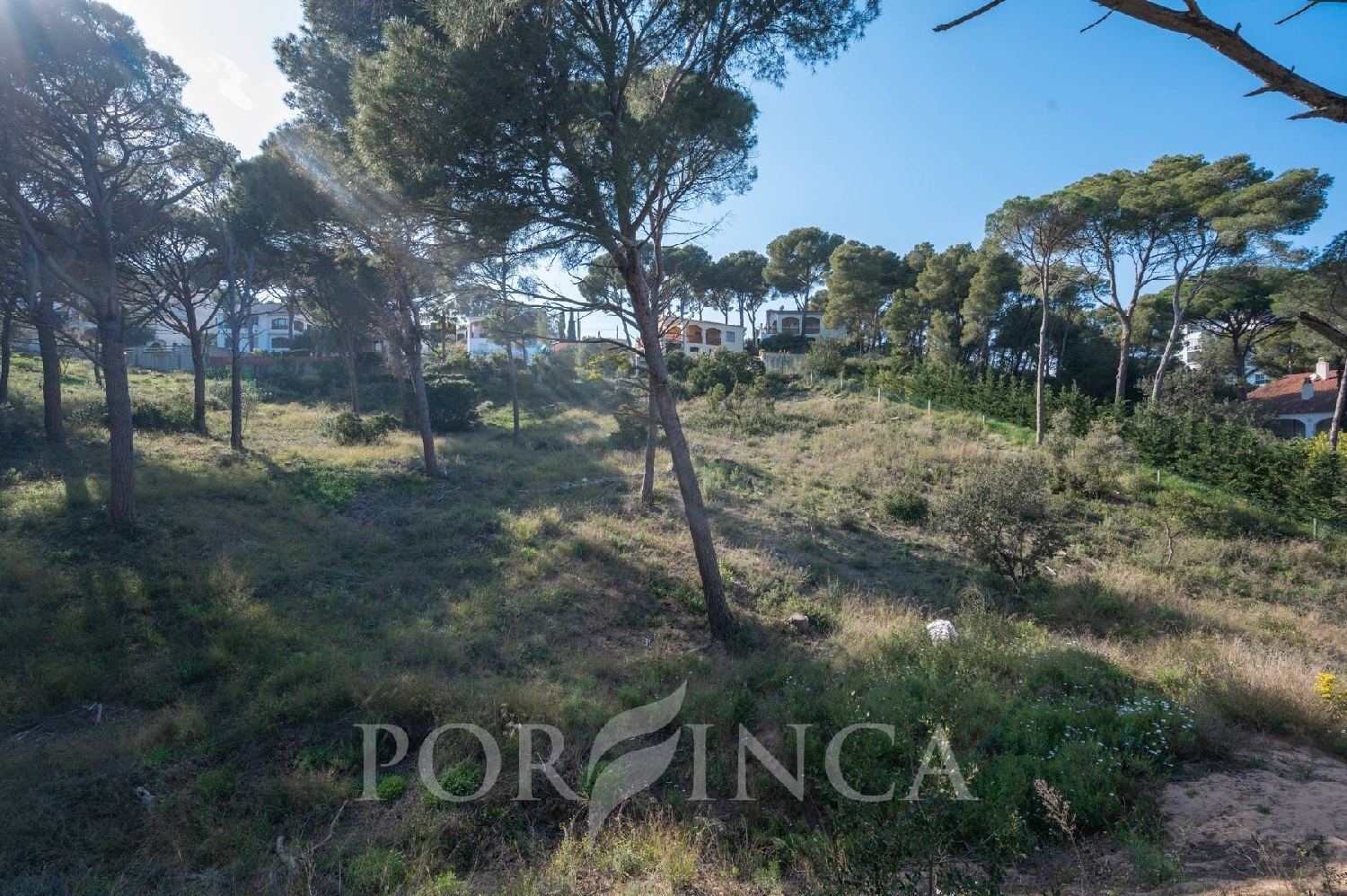  for sale plot Pals Baix Empordà 4