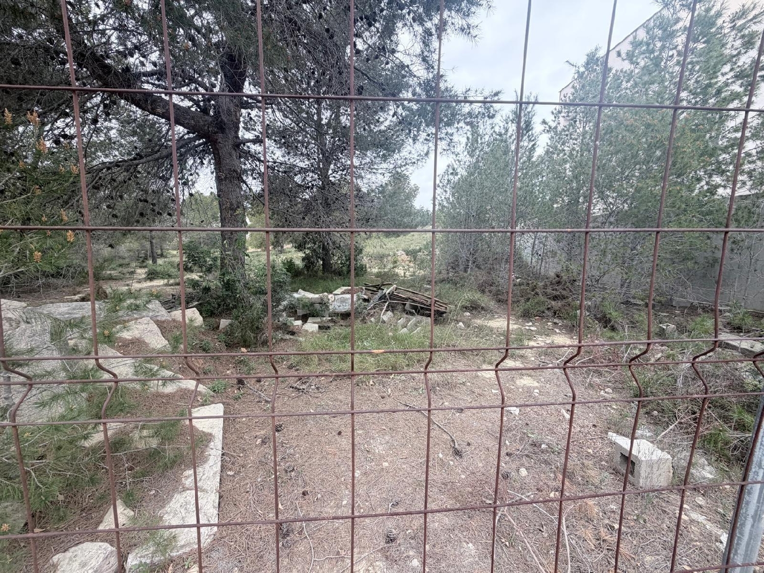  kaufen Grundstück Paterna Del Madera Sierra Del Segura 5