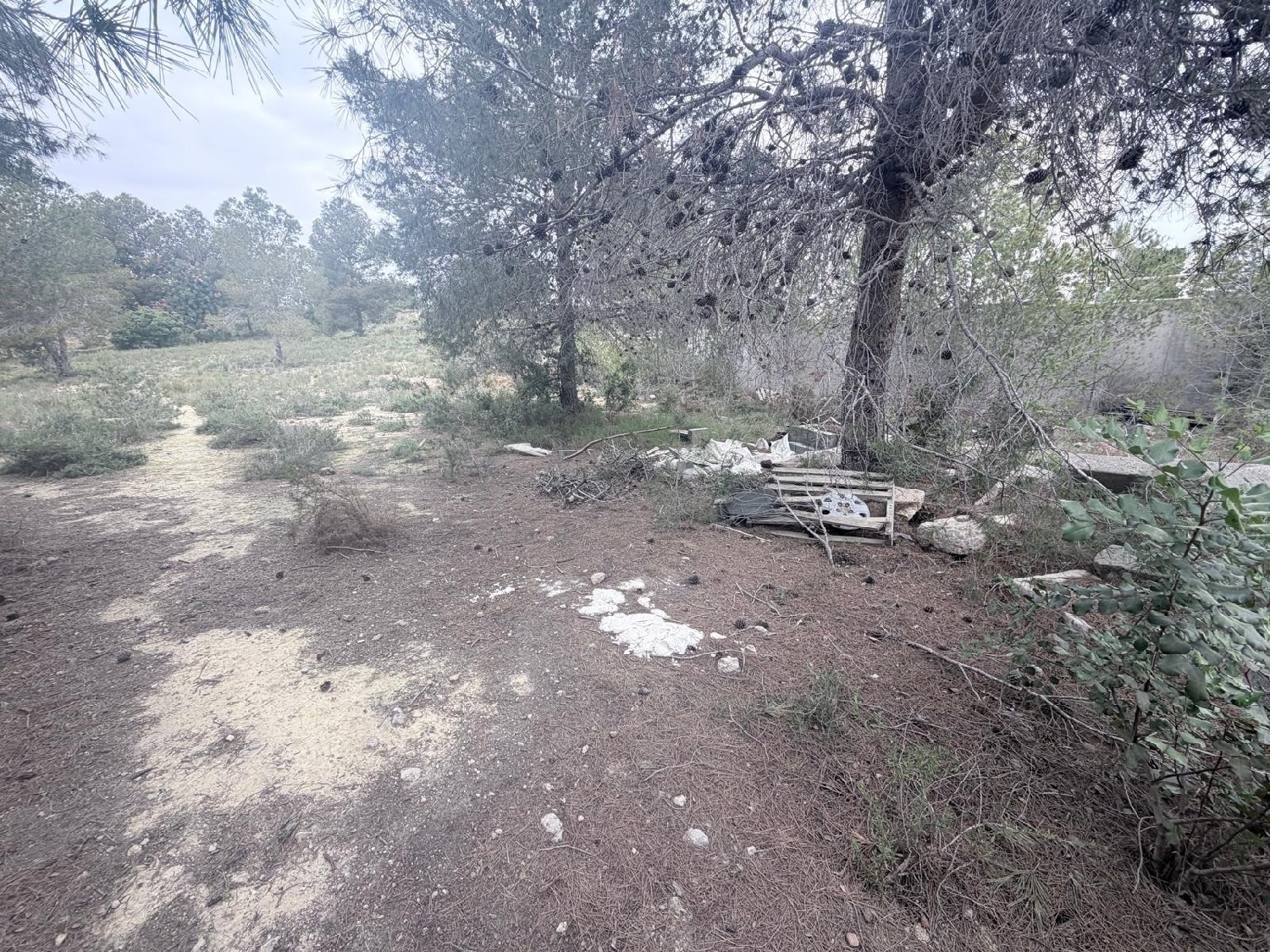  kaufen Grundstück Paterna Del Madera Sierra Del Segura 6