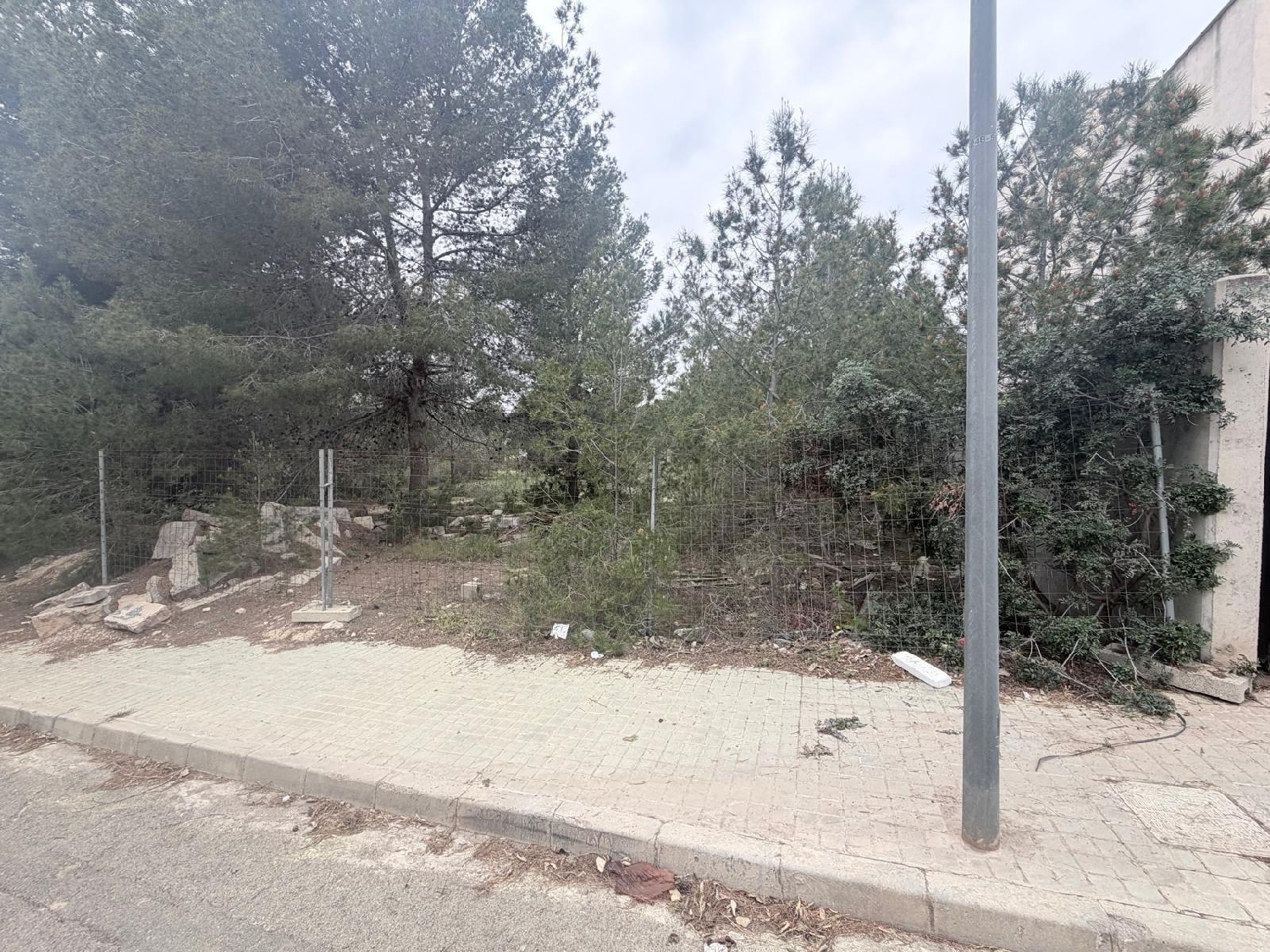  kaufen Grundstück Paterna Del Madera Sierra Del Segura 7