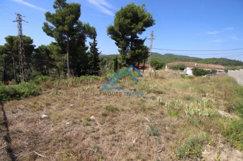 Piera Anoia plot foto 6363946