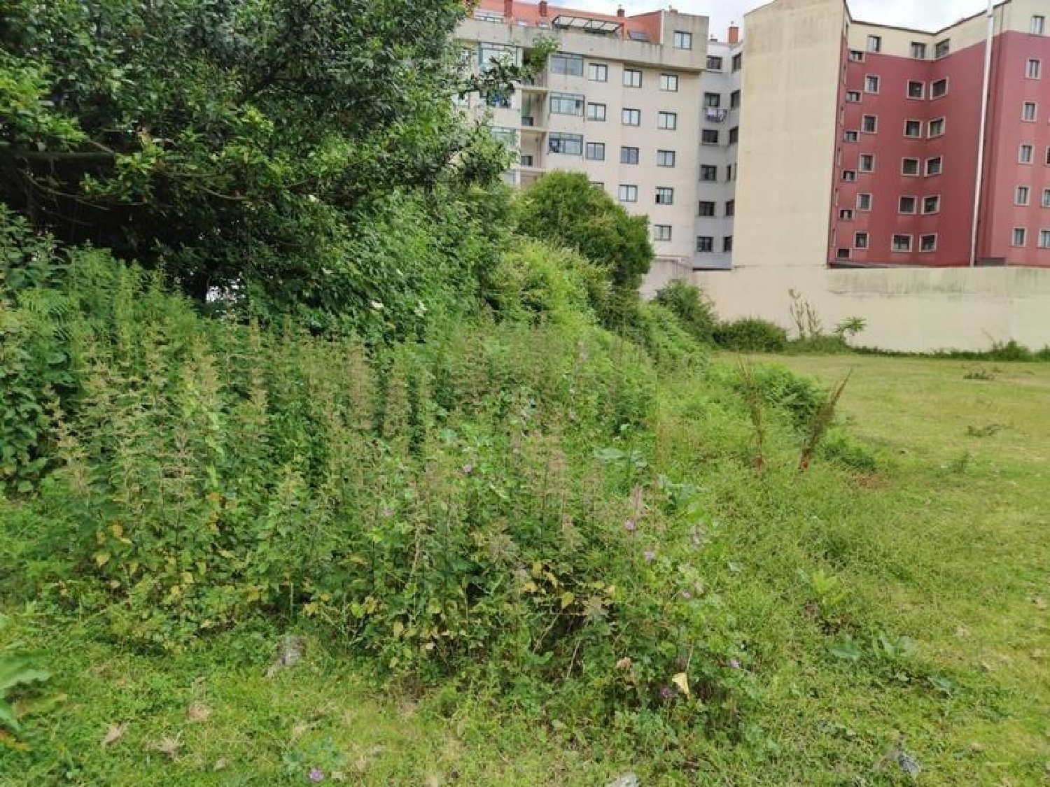  till salu tomt Pontevedra Centro Echegaray Pontevedra 8