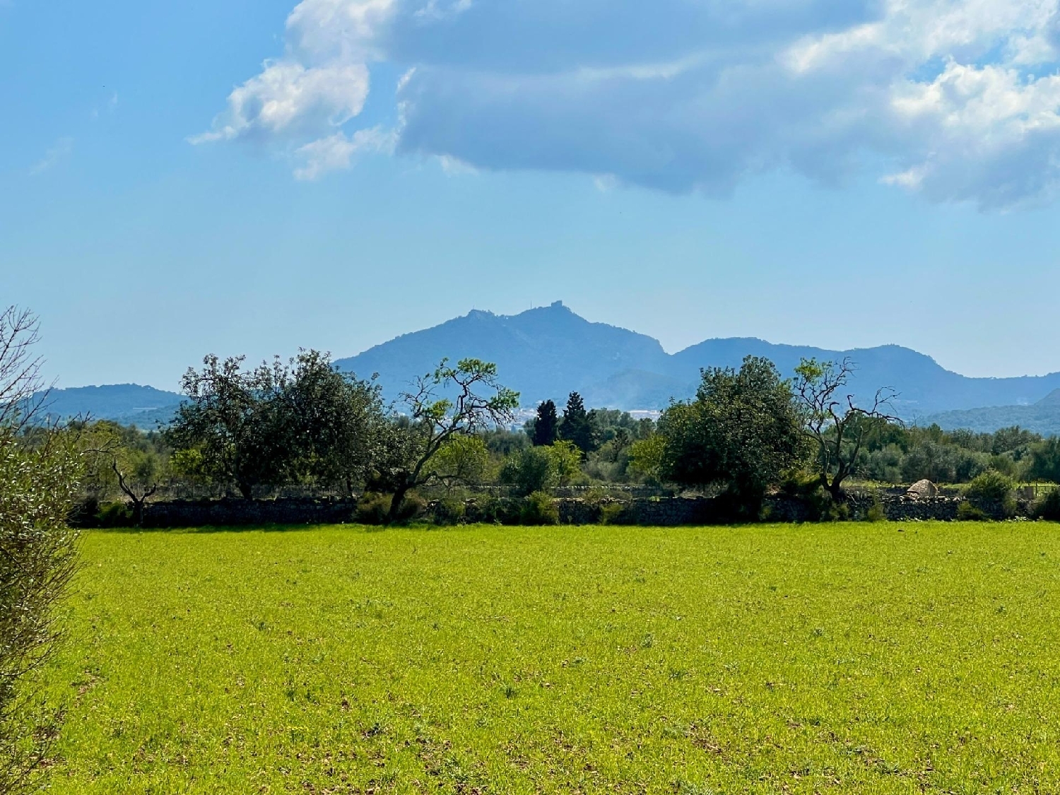  for sale plot Porreres Pla (Es) 1