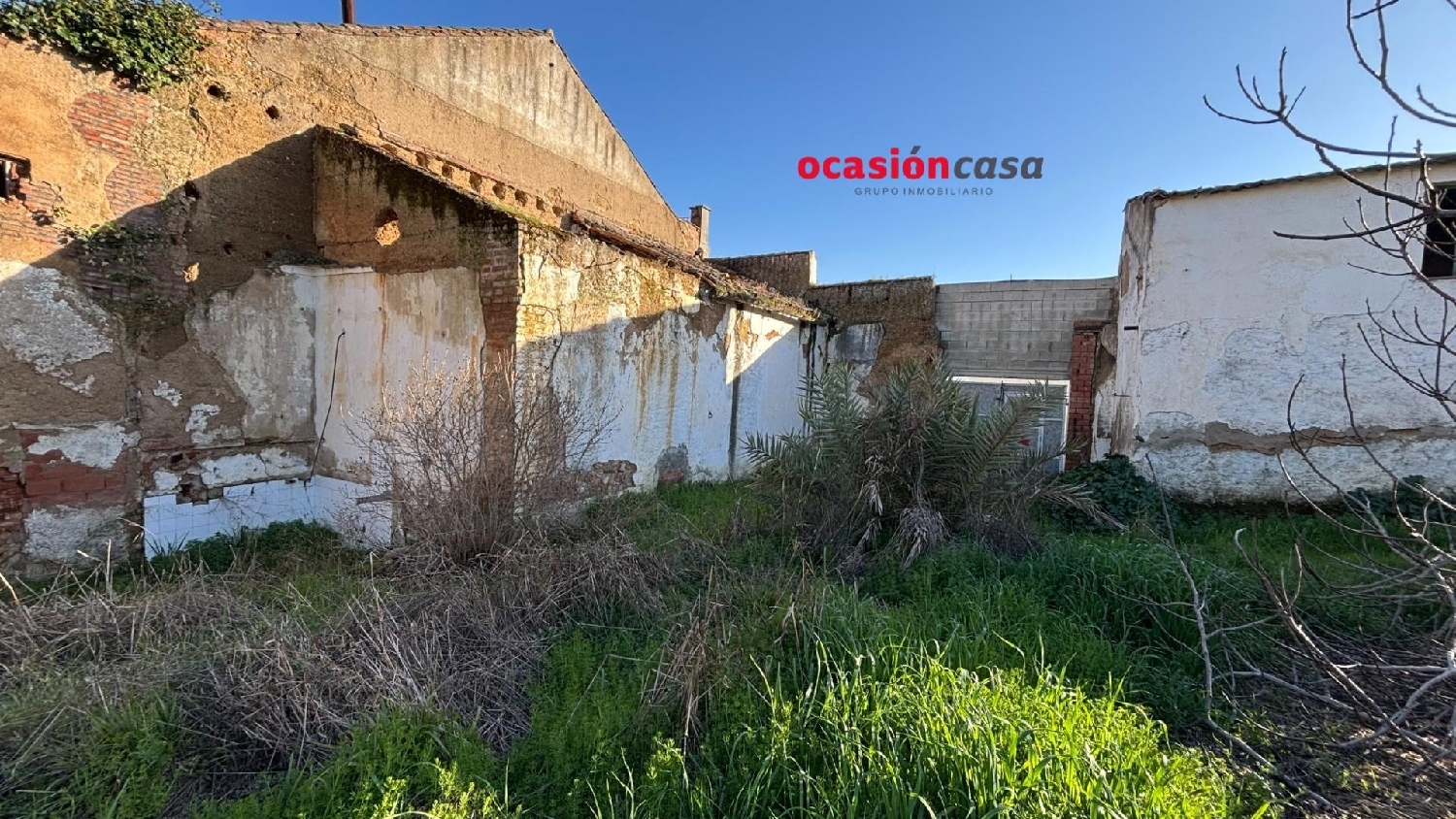  for sale plot Pueblonuevo Del Guadiana Badajoz 5