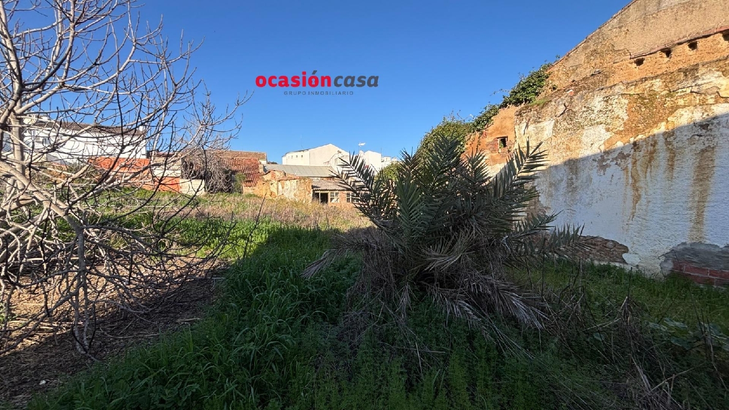  for sale plot Pueblonuevo Del Guadiana Badajoz 4