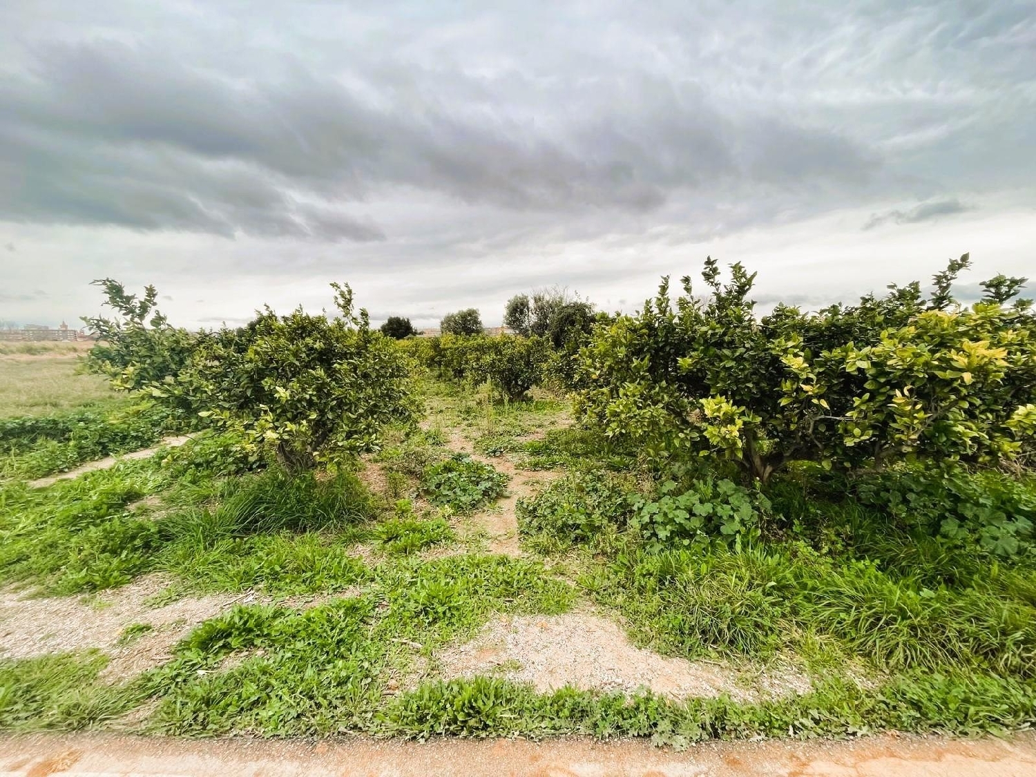  for sale plot Quart De Poblet Horta Oest 6