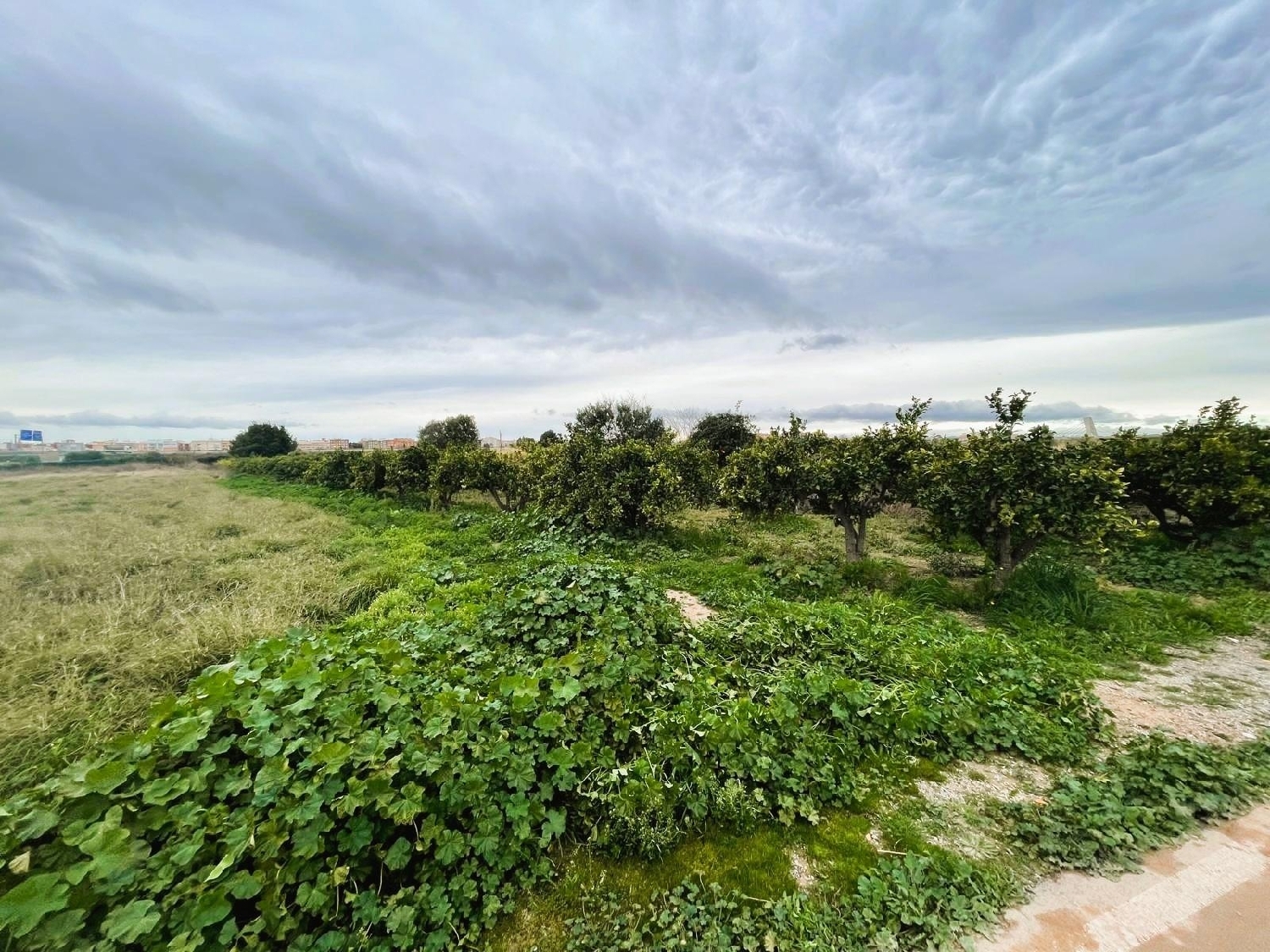  for sale plot Quart De Poblet Horta Oest 4