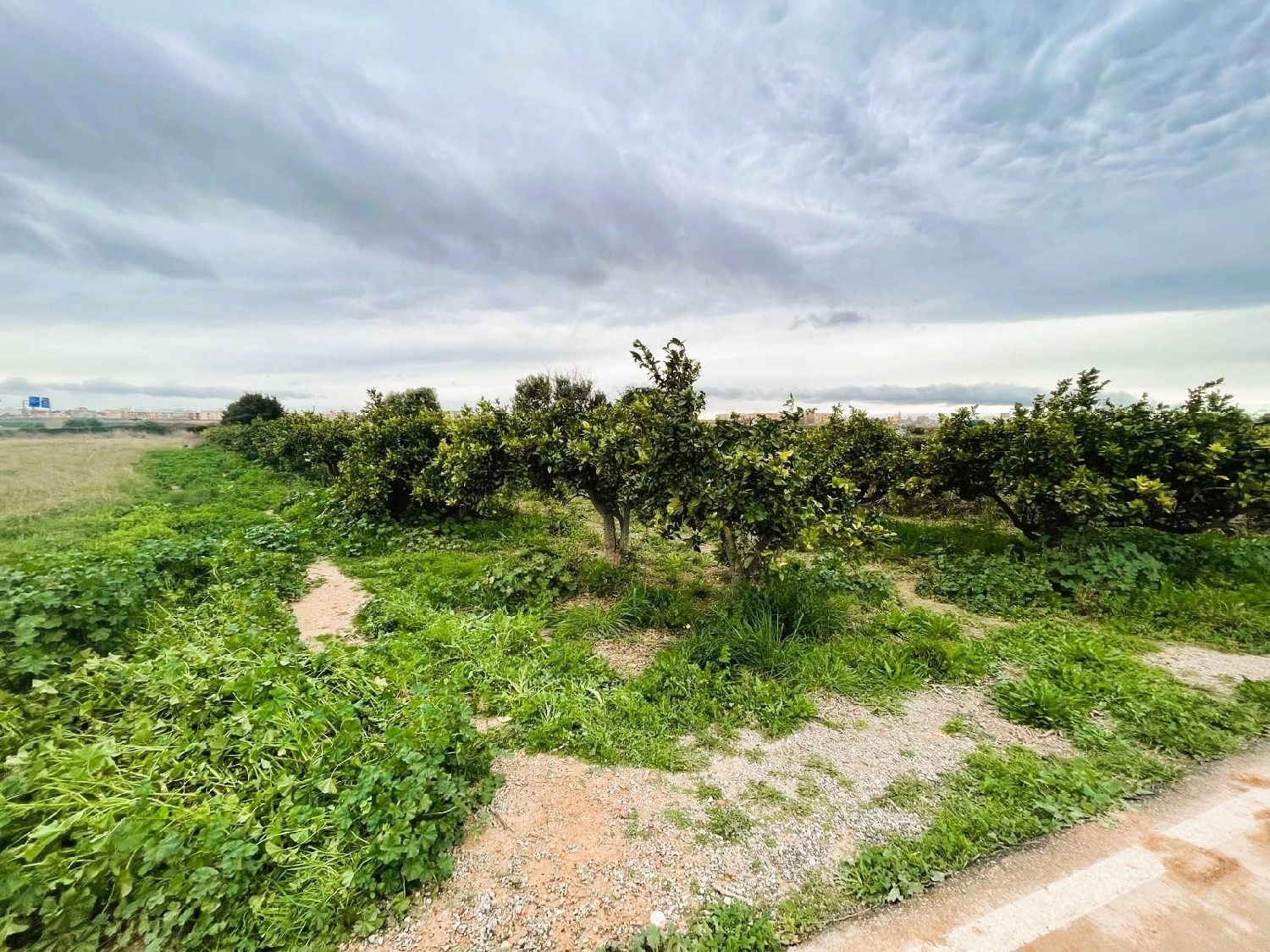  for sale plot Quart De Poblet Horta Oest 5