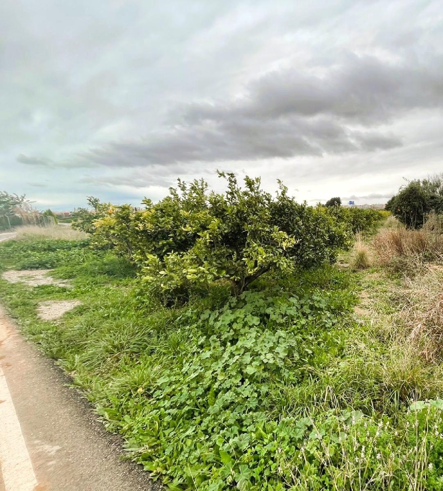  for sale plot Quart De Poblet Horta Oest 7