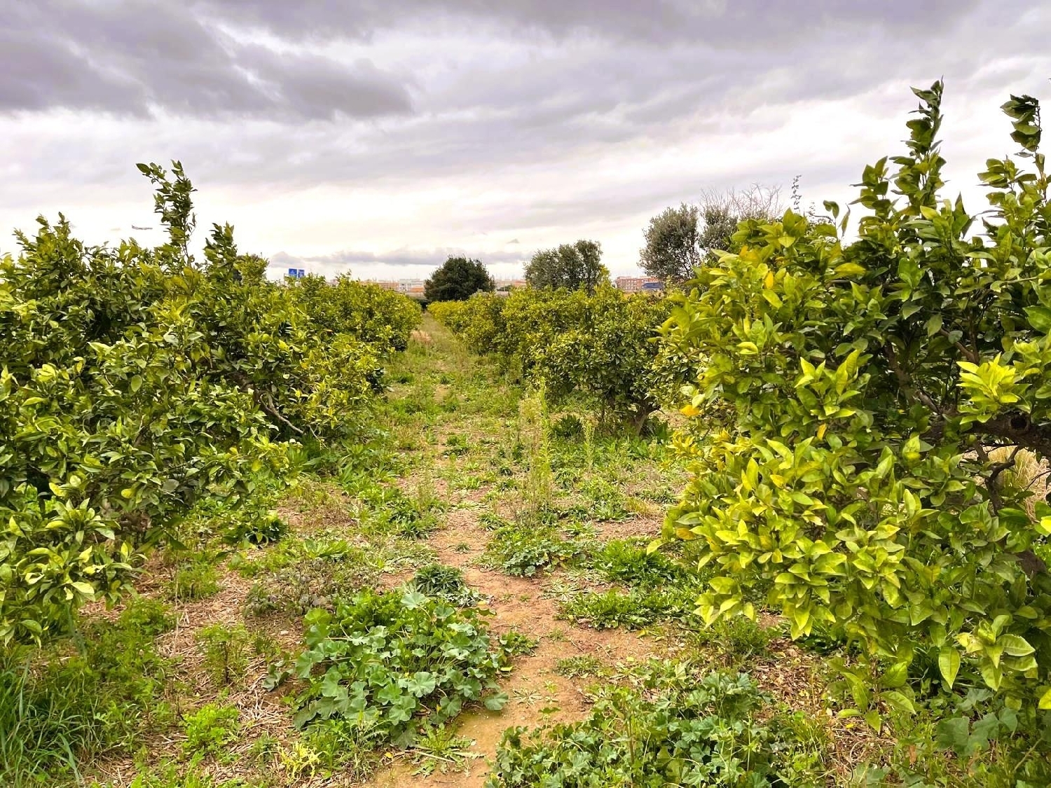  for sale plot Quart De Poblet Horta Oest 8