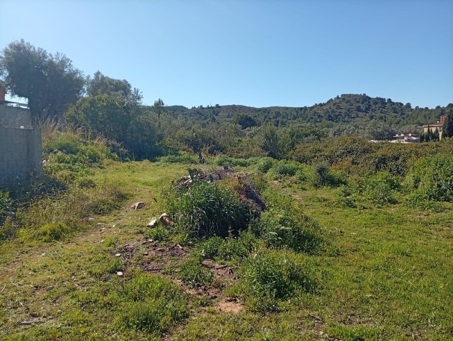  en venta terreno Riba-Roja De Túria Camp De Túria 4