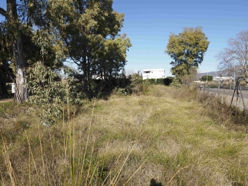 Roses Alt Empordà Grundstück Bild 6355790