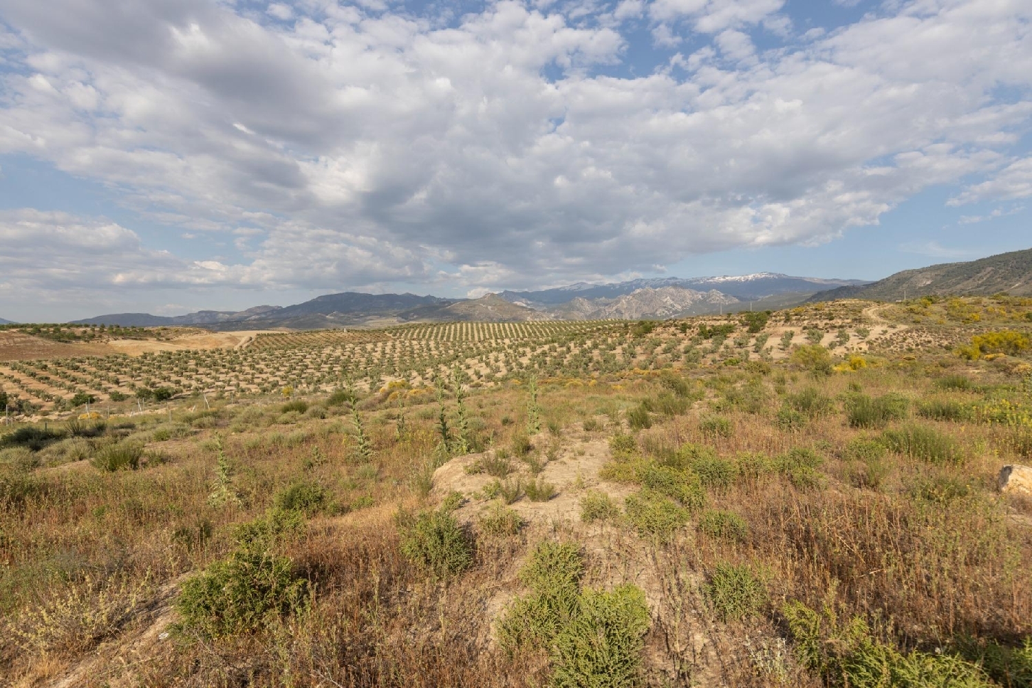  for sale plot Roturas Villuercas 7