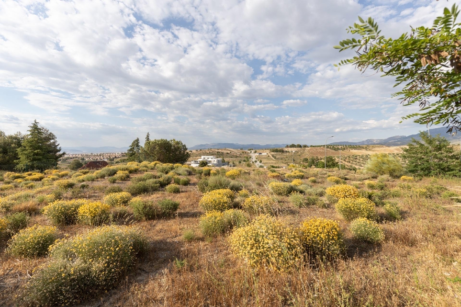  for sale plot Roturas Villuercas 5