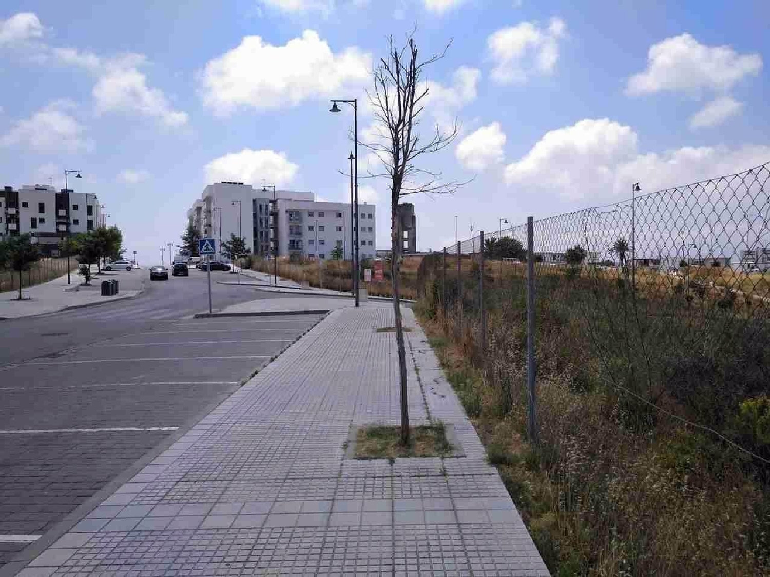  kaufen Grundstück San Roque Campo De Gibraltar 7