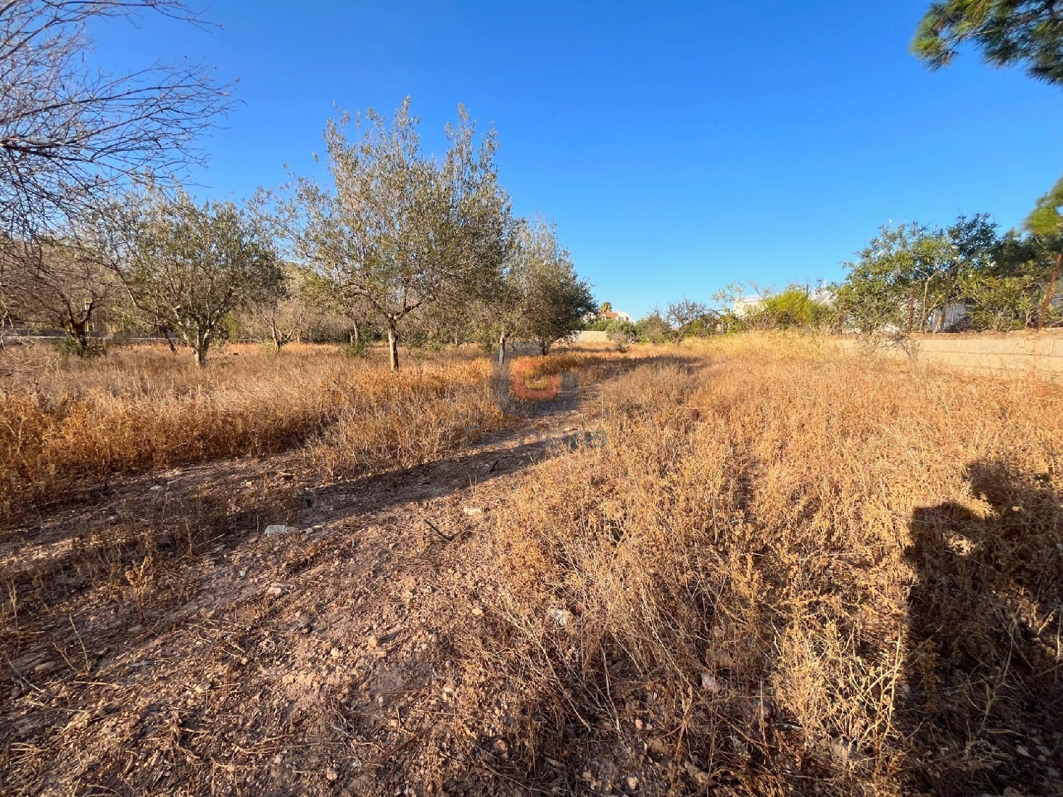  en venta terreno San Vicente Del Raspeig Alacantí 4