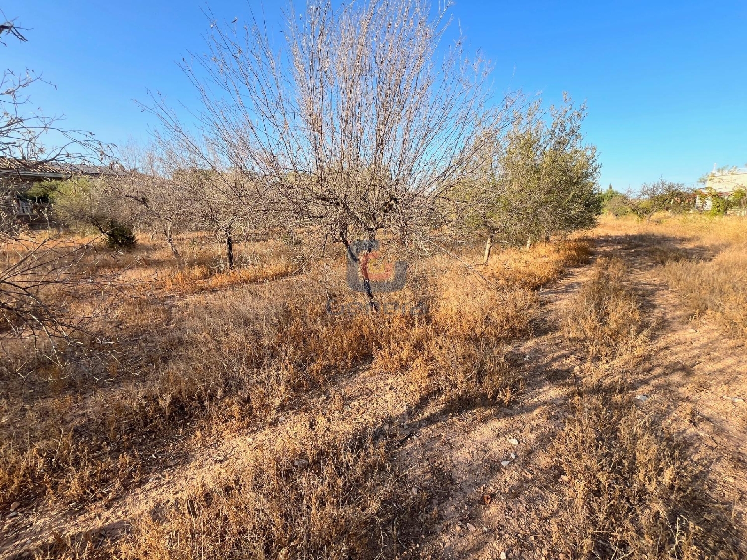  en venta terreno San Vicente Del Raspeig Alacantí 6