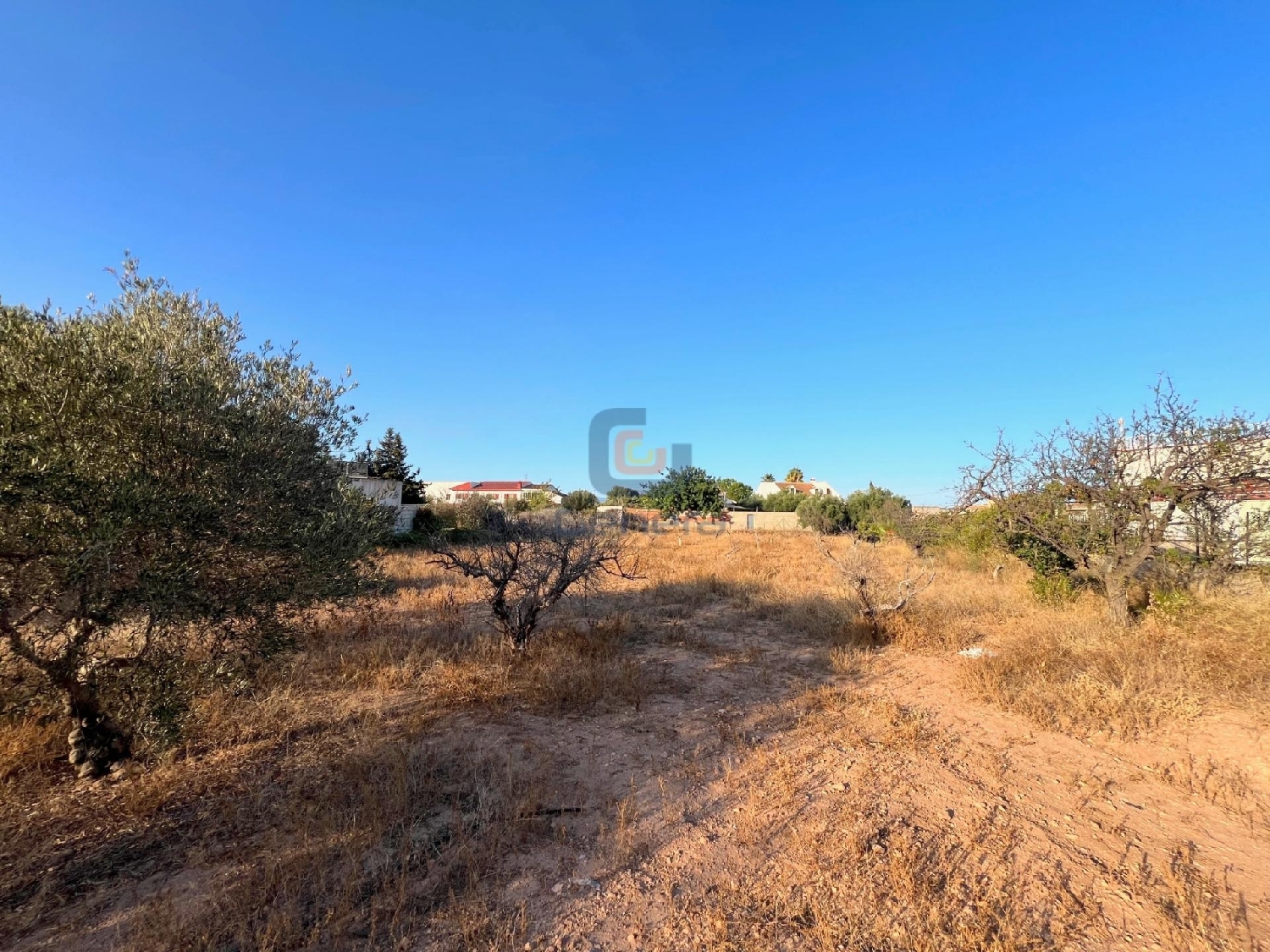  en venta terreno San Vicente Del Raspeig Alacantí 8