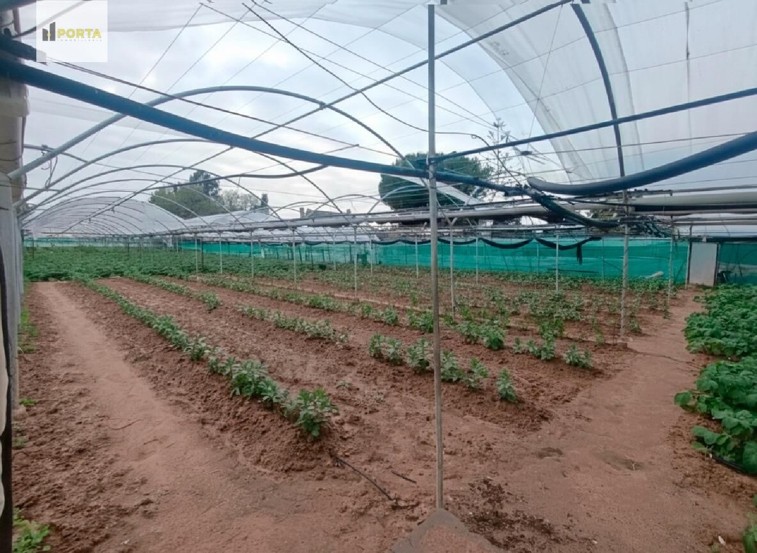  for sale plot Sanlúcar De Barrameda Costa Noroeste 1