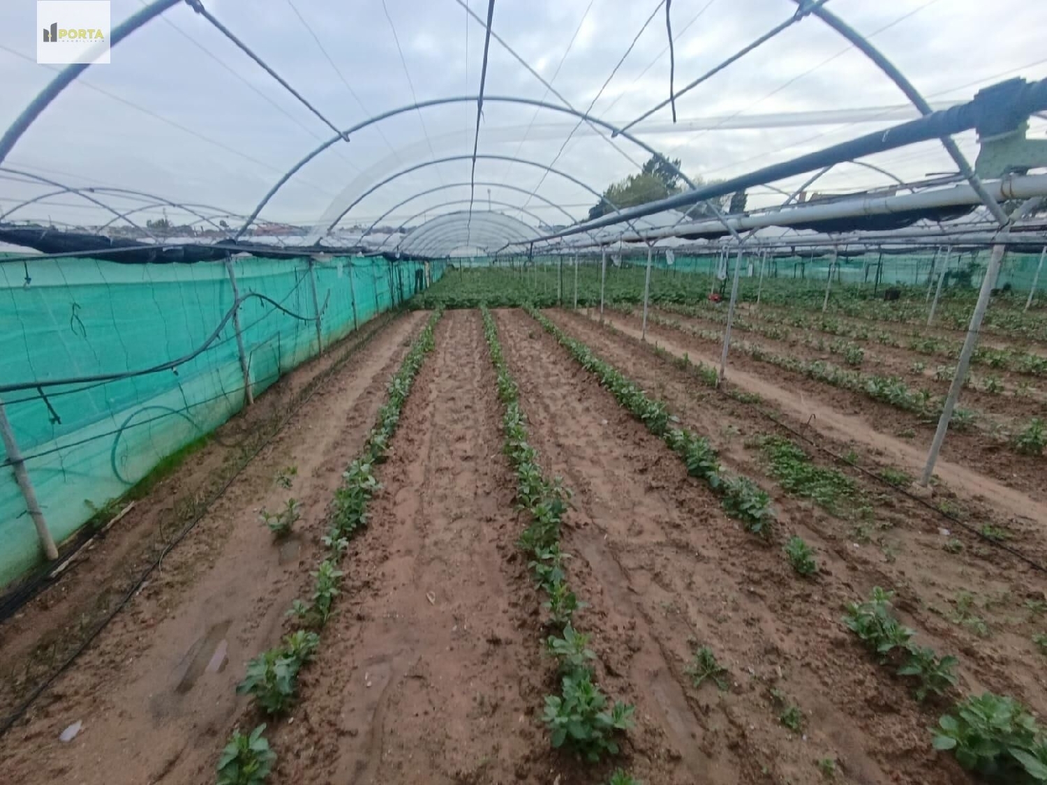  for sale plot Sanlúcar De Barrameda Costa Noroeste 2