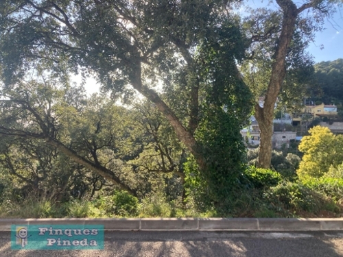 Sant Cebria De Vallalta Maresme perceel foto 6357456