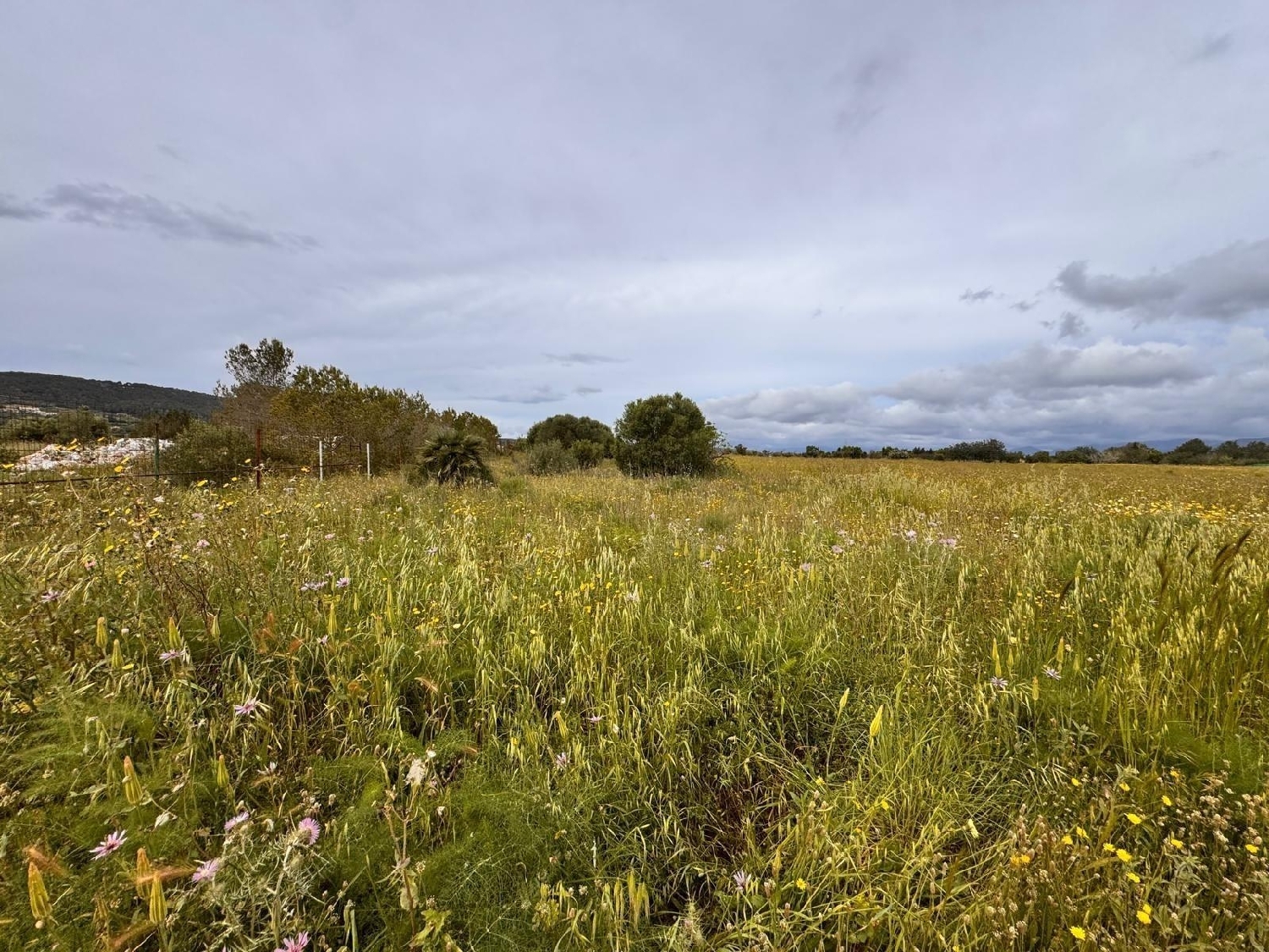  till salu tomt Santa Eugènia Pla (Es) 7