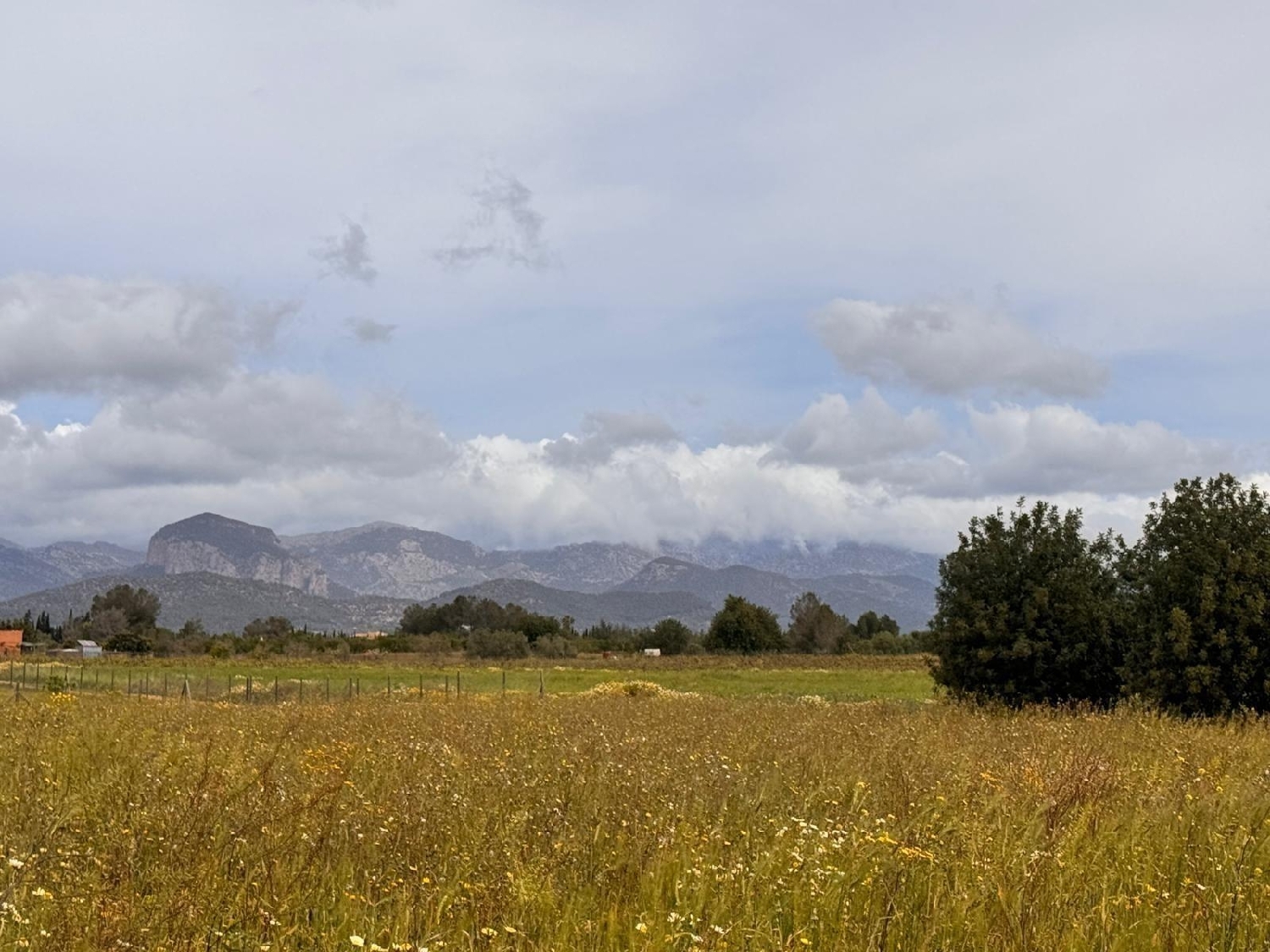  till salu tomt Santa Eugènia Pla (Es) 8