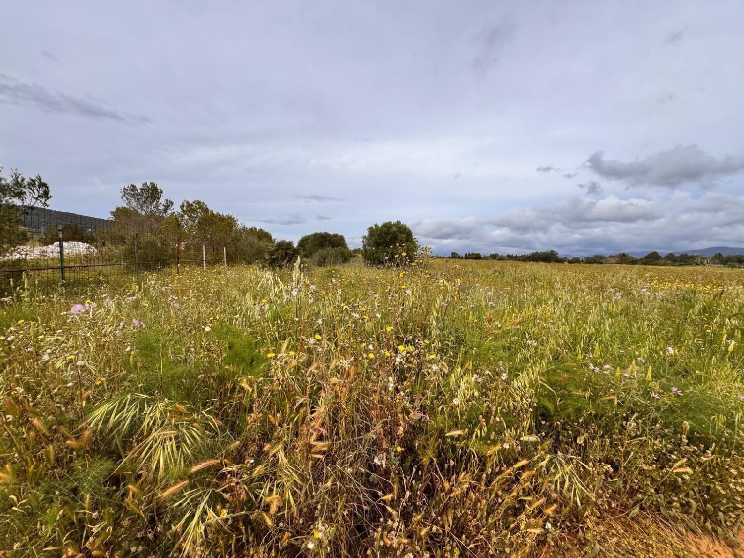  till salu tomt Santa Eugènia Pla (Es) 1
