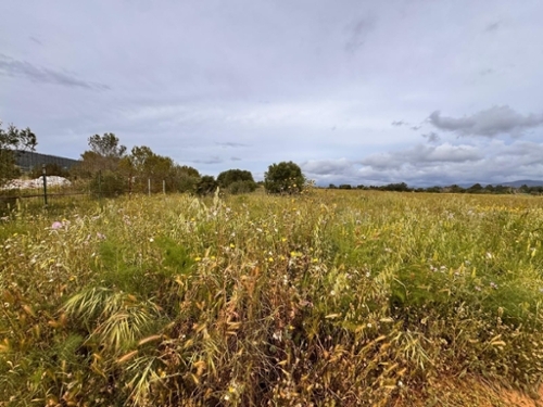 Santa Eugènia Pla (Es) tomt foto 6356430