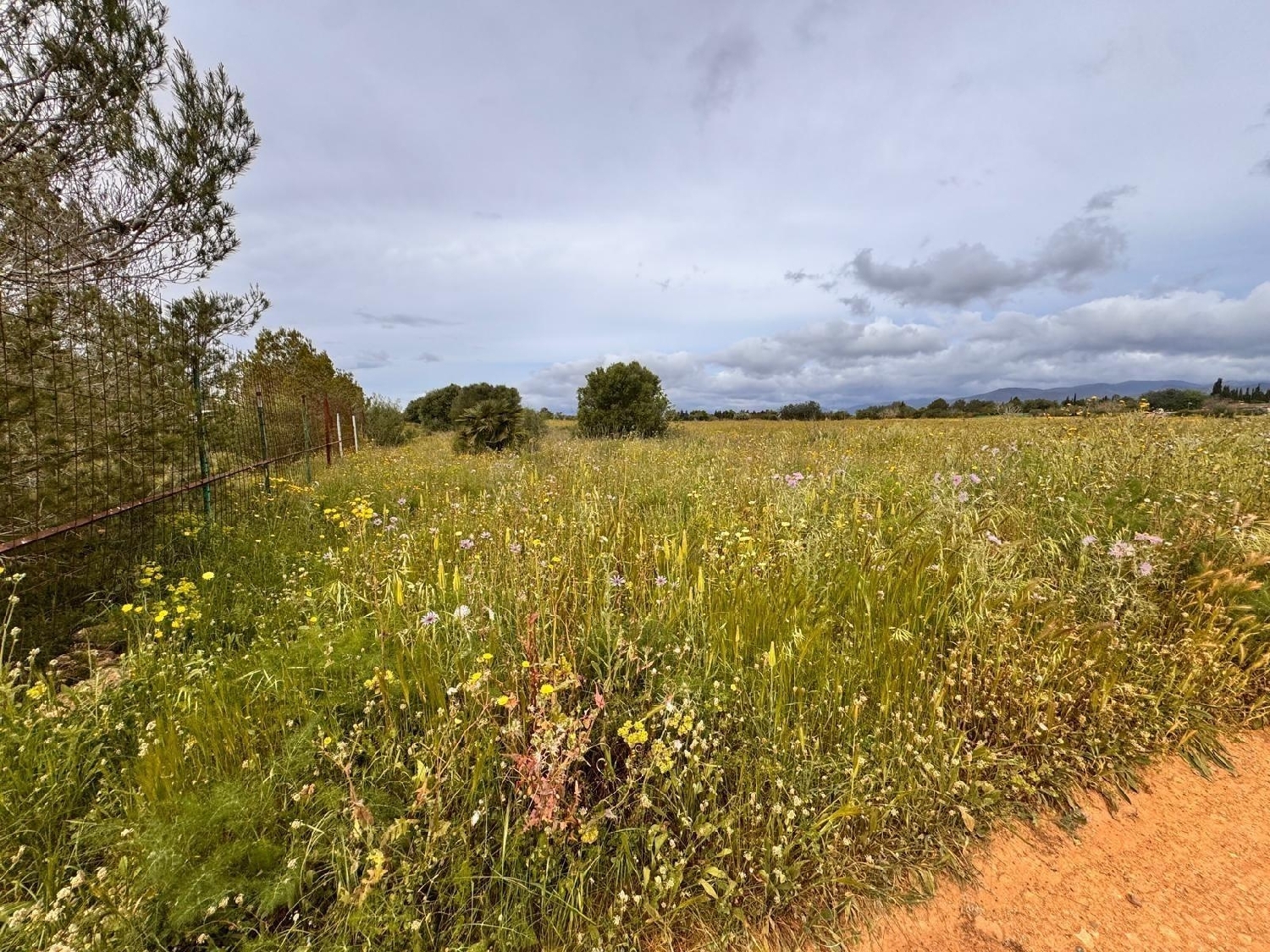  till salu tomt Santa Eugènia Pla (Es) 5