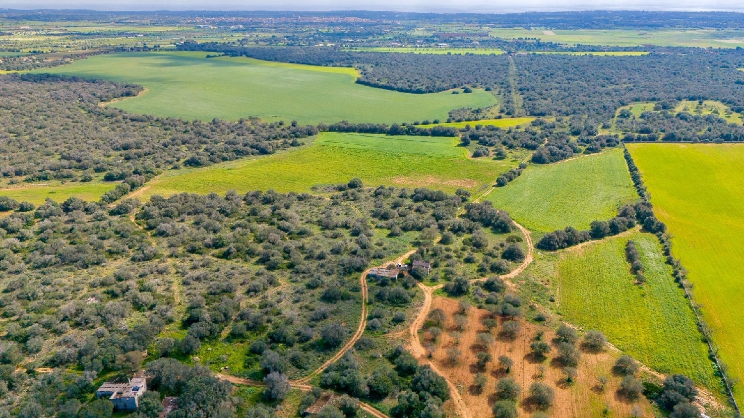  till salu tomt Santanyí Sud 6