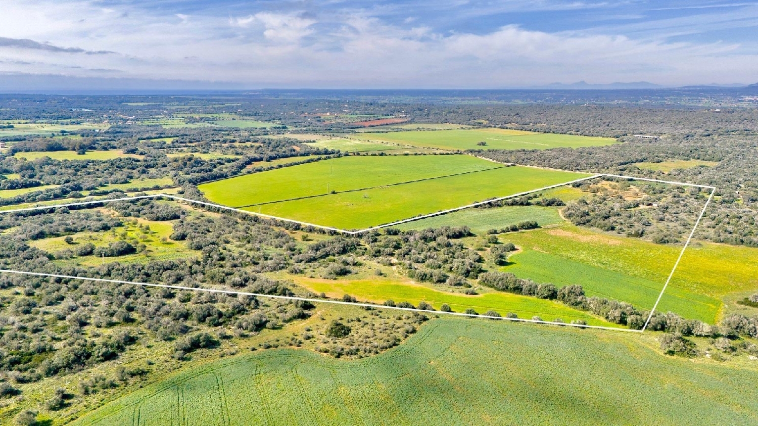  till salu tomt Santanyí Sud 1