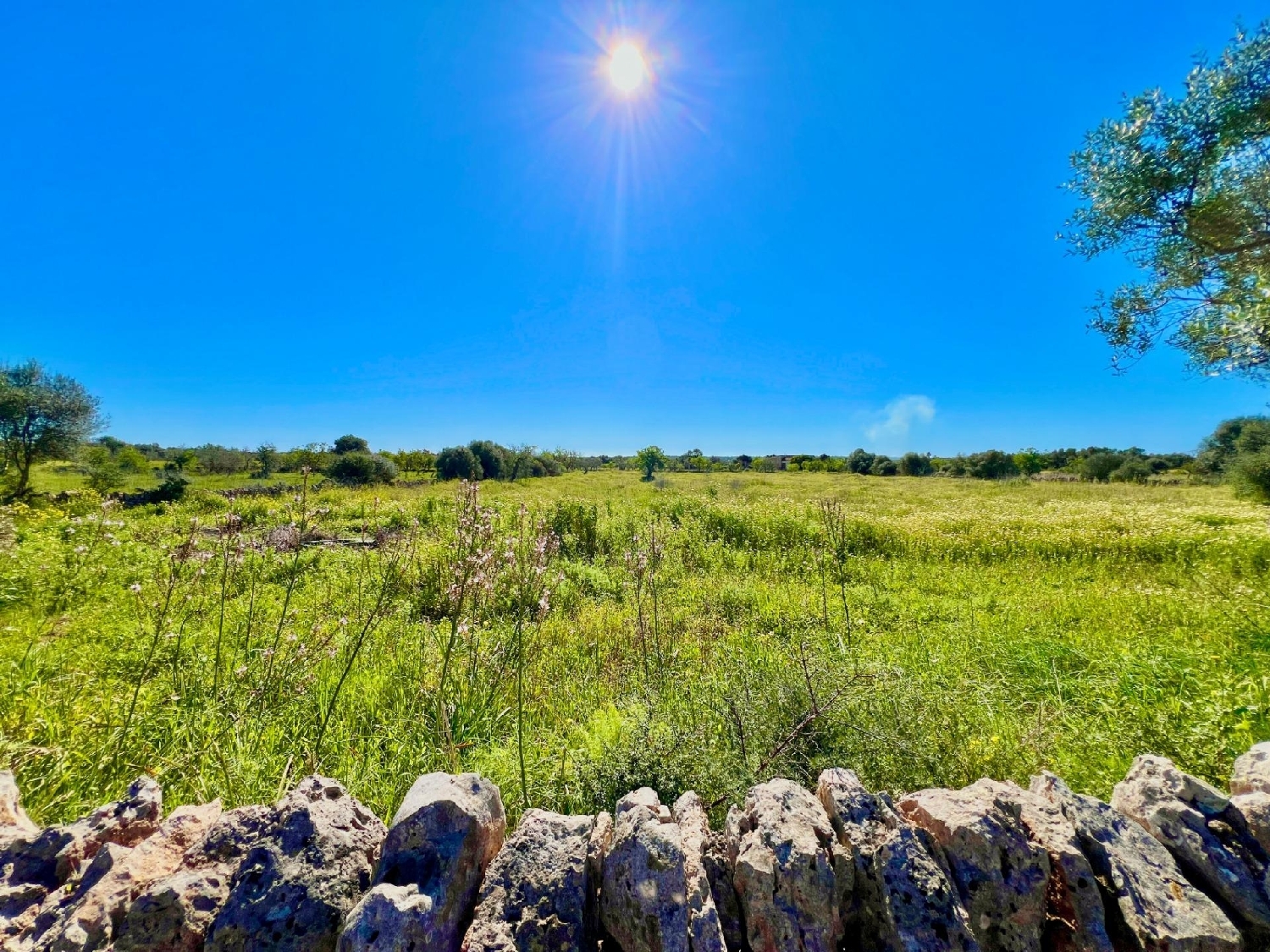  for sale plot Santanyí Sud 3