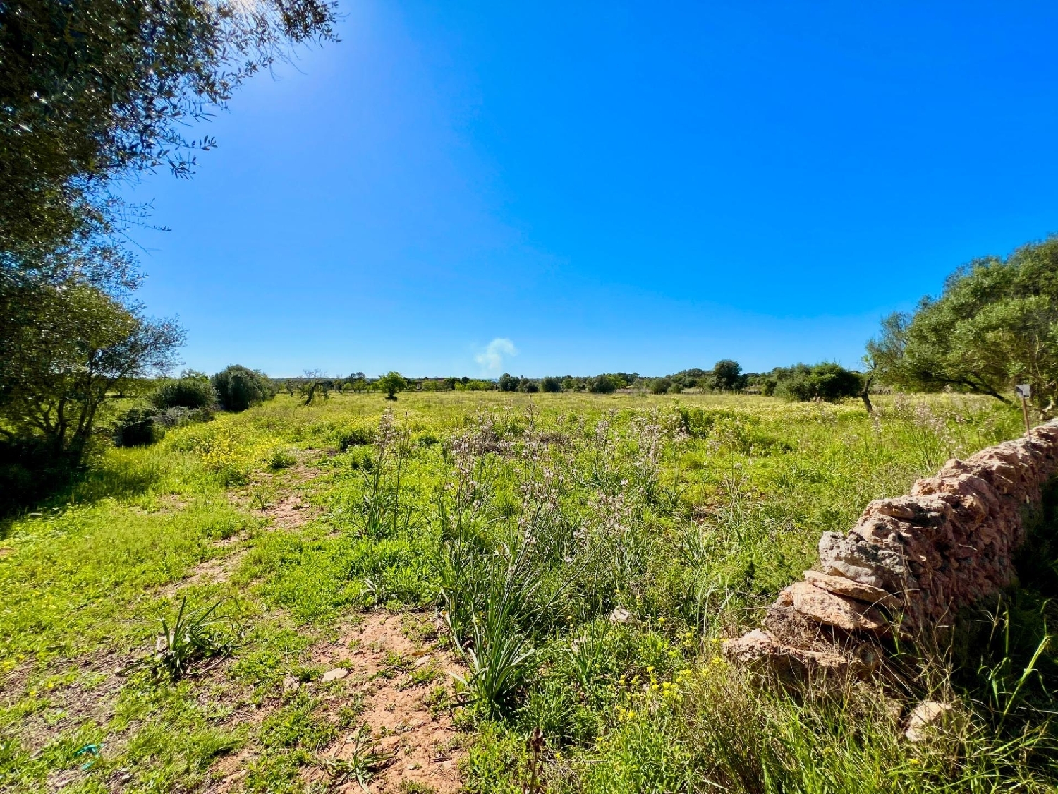  for sale plot Santanyí Sud 2