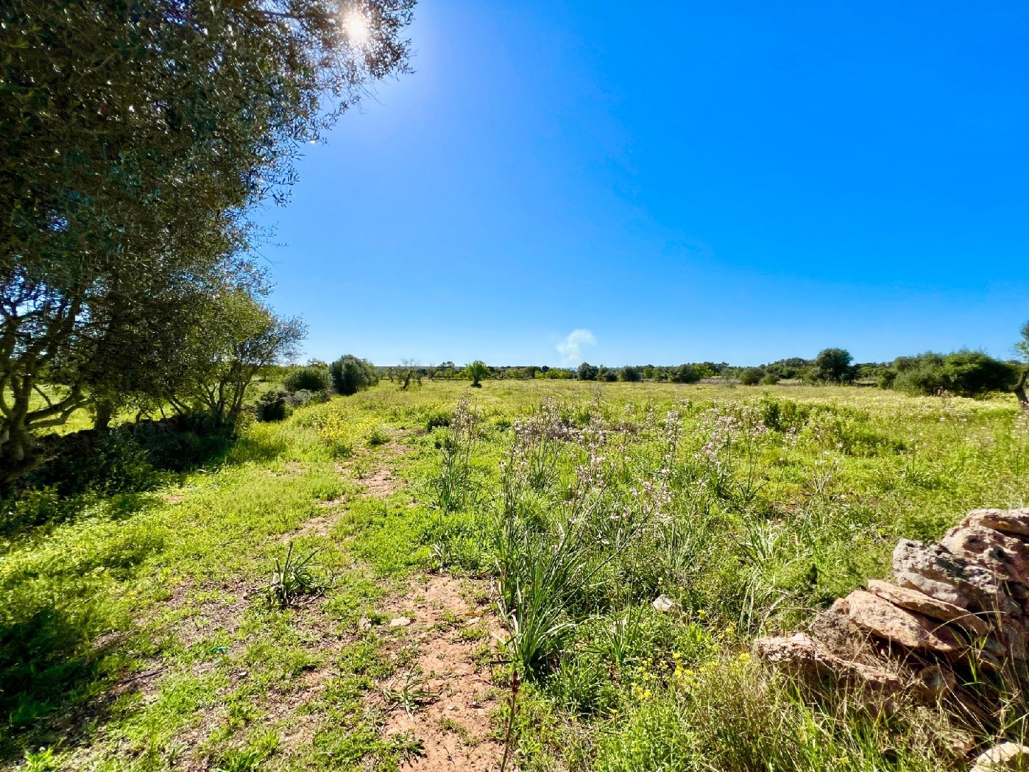  for sale plot Santanyí Sud 1