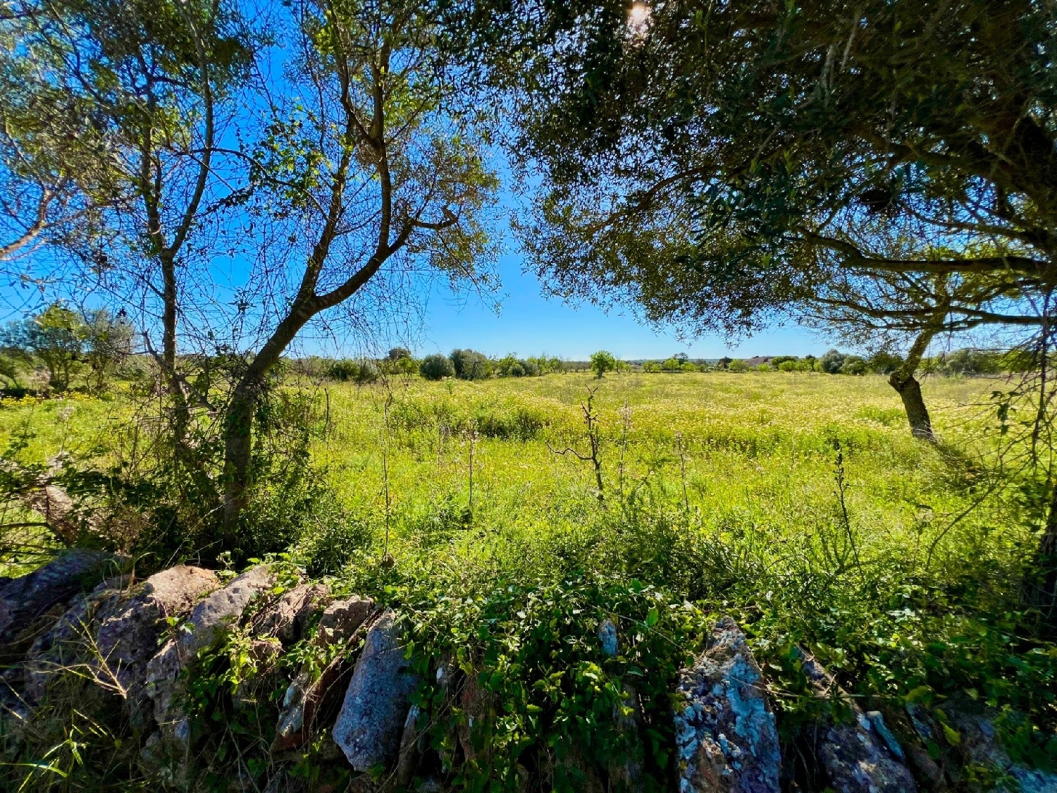  for sale plot Santanyí Sud 5