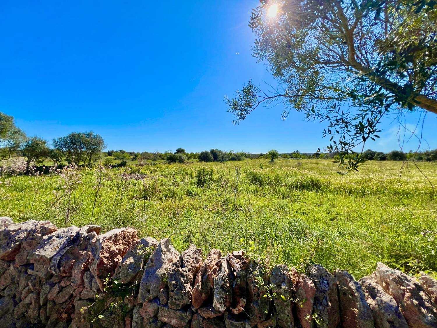  for sale plot Santanyí Sud 4