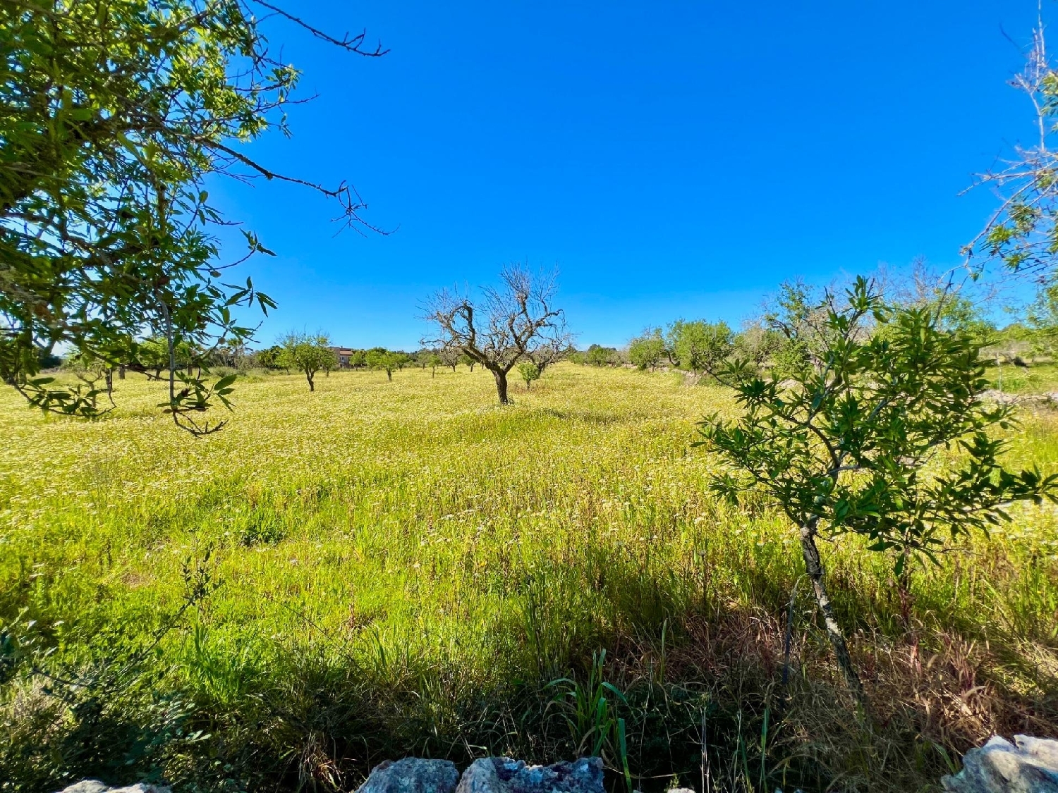  for sale plot Santanyí Sud 7