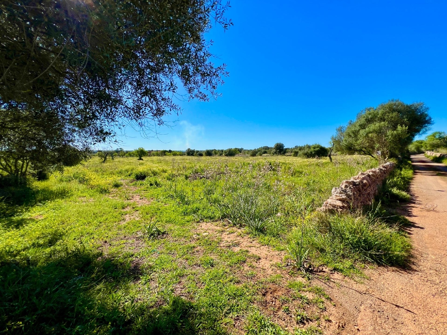  for sale plot Santanyí Sud 6