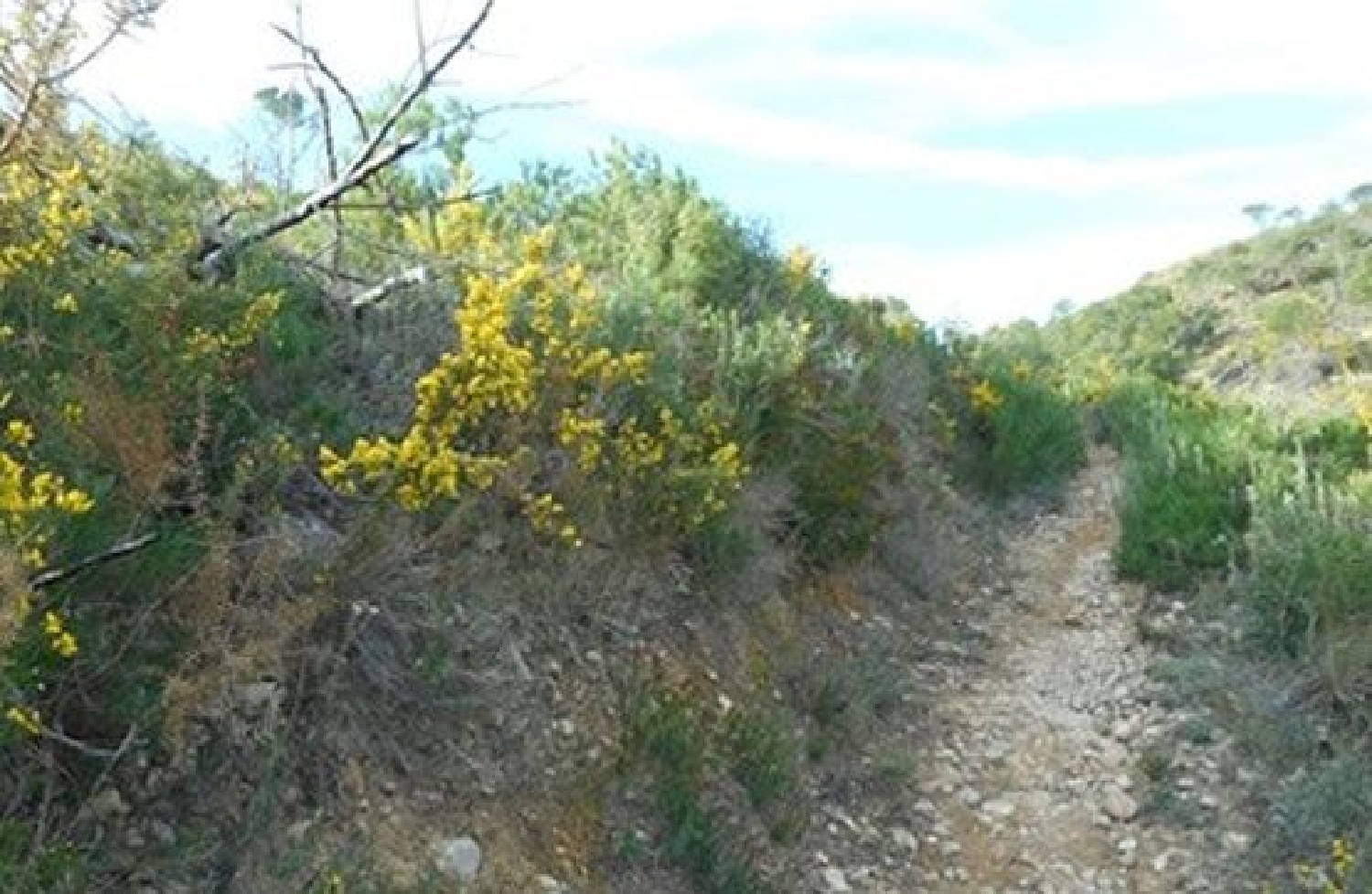  for sale plot Segorbe Alt Palancia 2