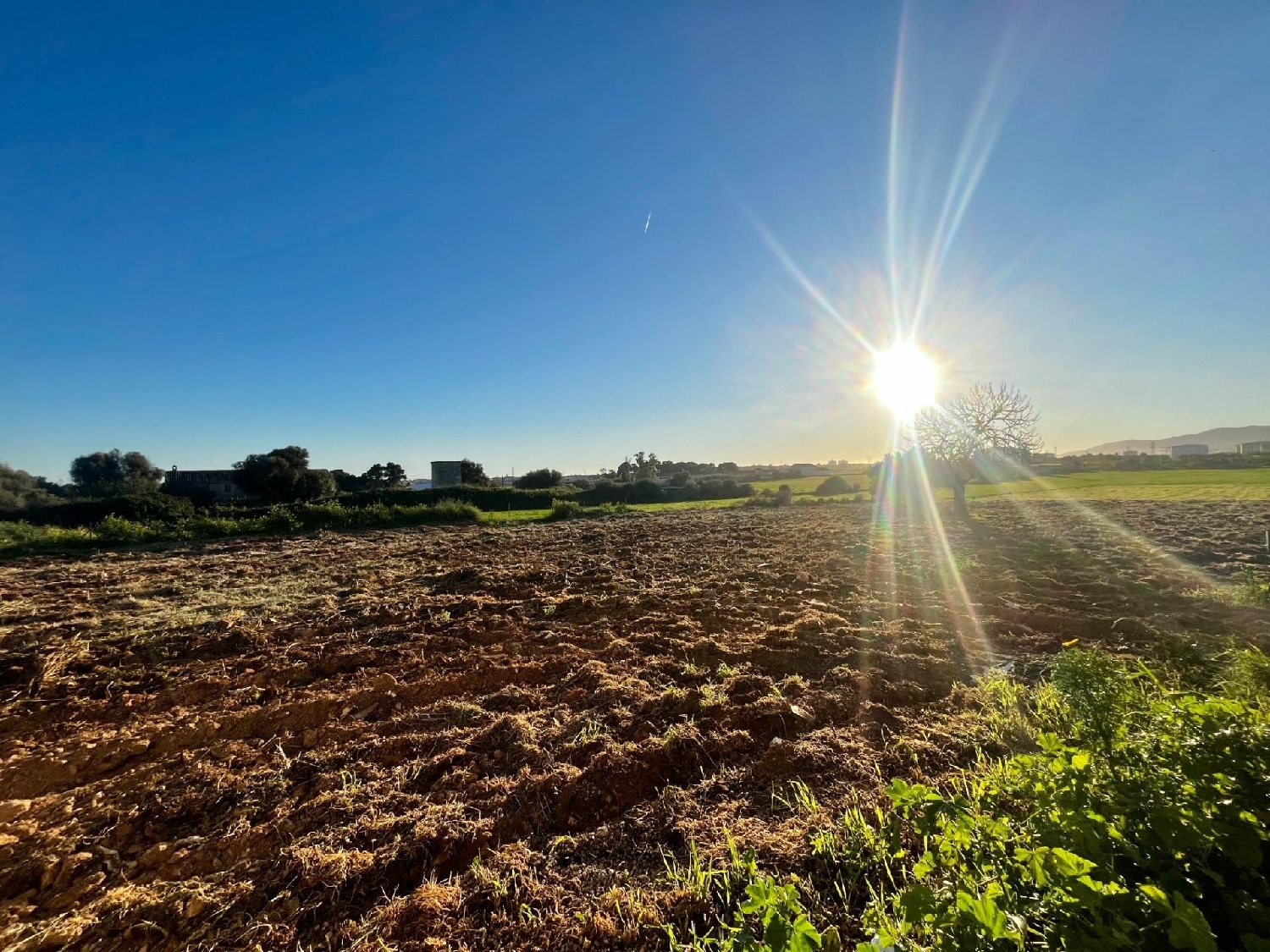  for sale plot Son Ferriol Palma 4