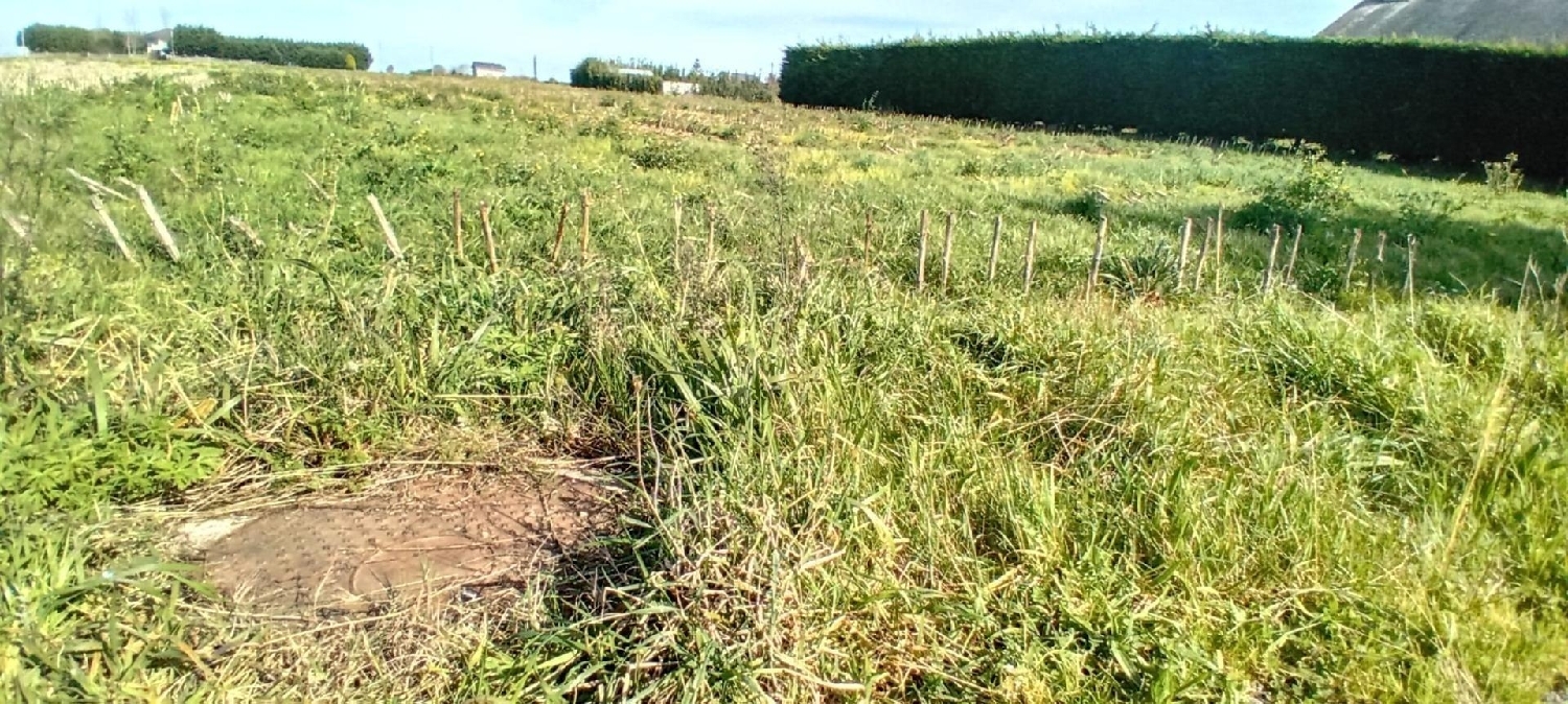  kaufen Grundstück Tapia De Casariego Eo-Navia 8